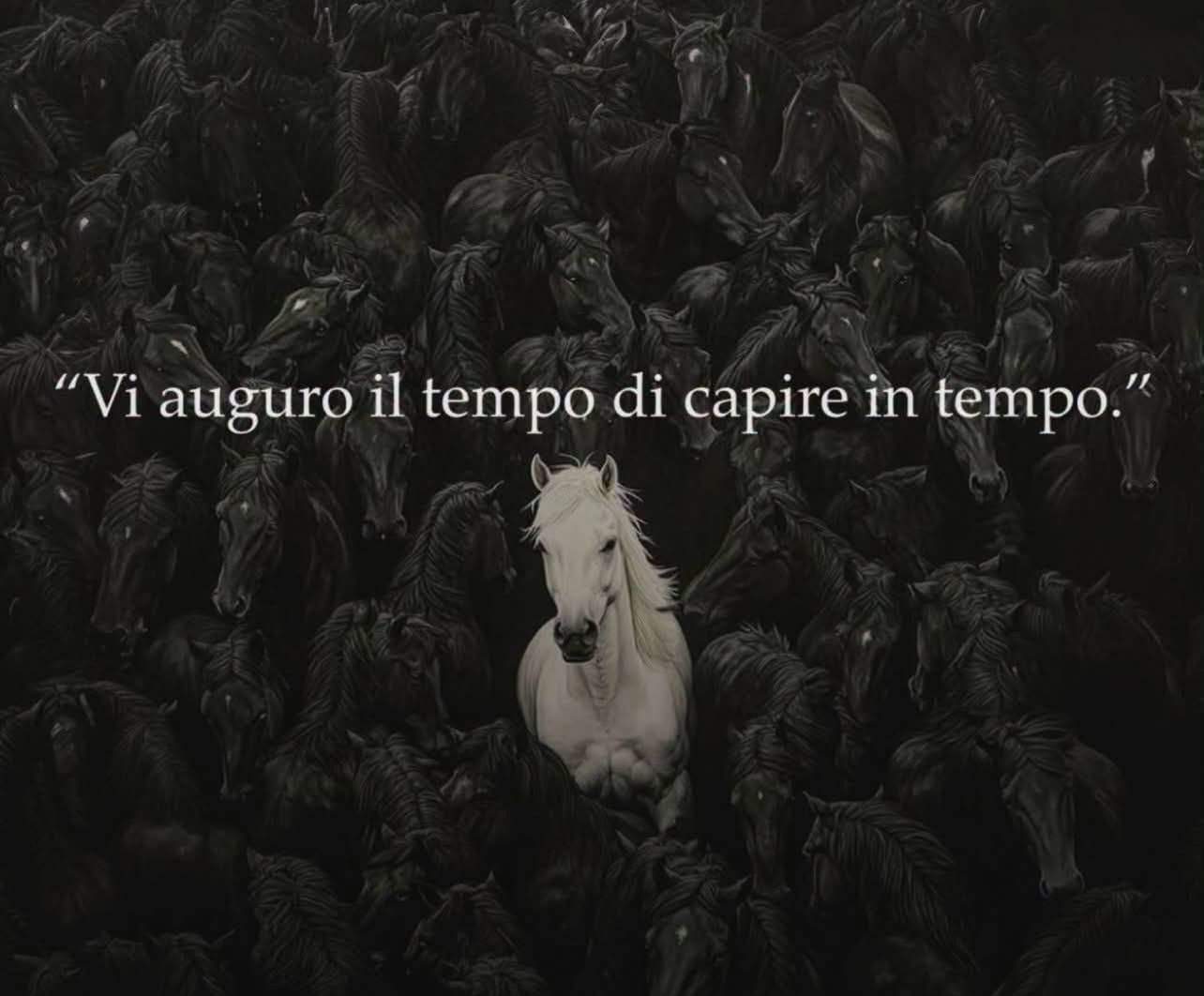 @mariadipaolo❤️❤️❤️