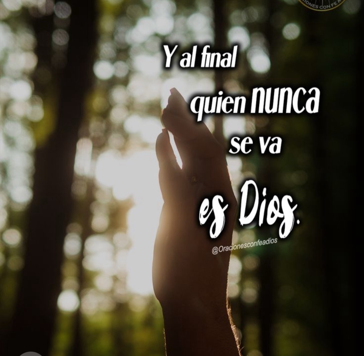 @Ruth Flores