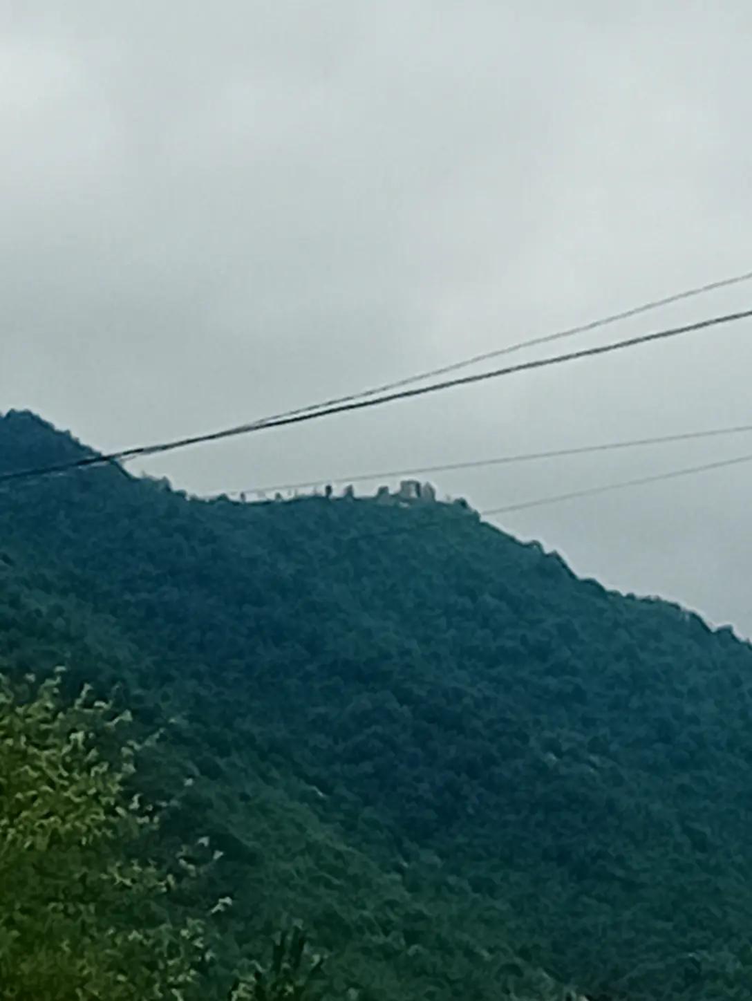 @დალი ვეკუა