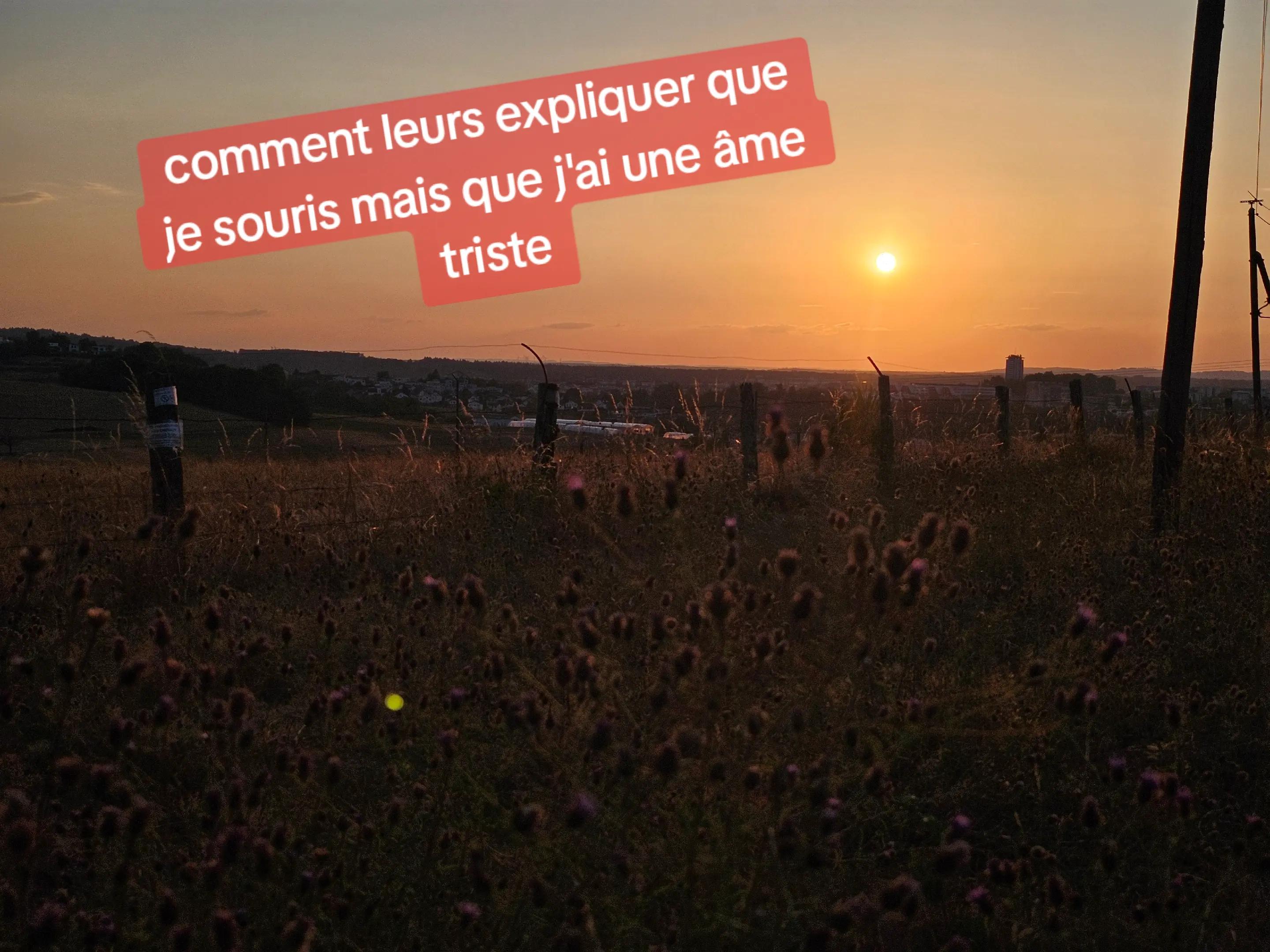 @Le rucher du petit vosgien