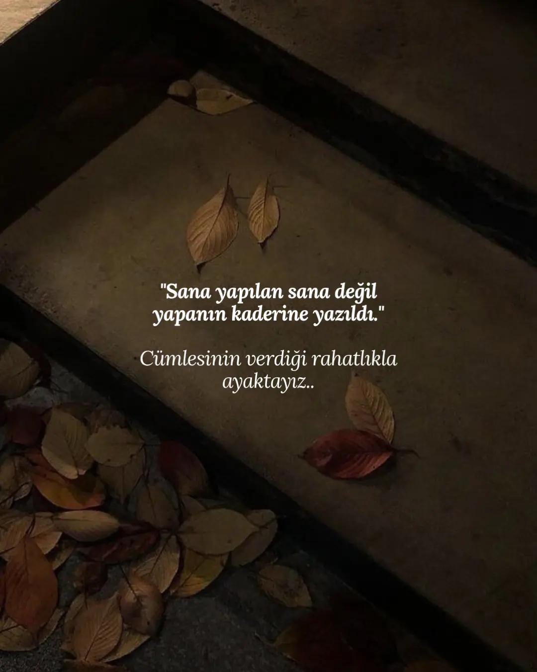 @ᴅᴜᴀ ᴅɪ̇ʏᴀʀɪᴍ