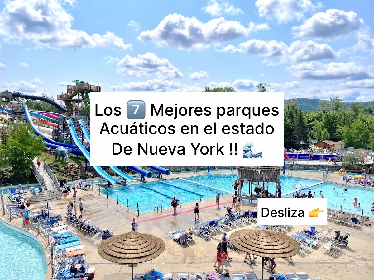 @Camilo&ensp;N&uacute;&ntilde;ez