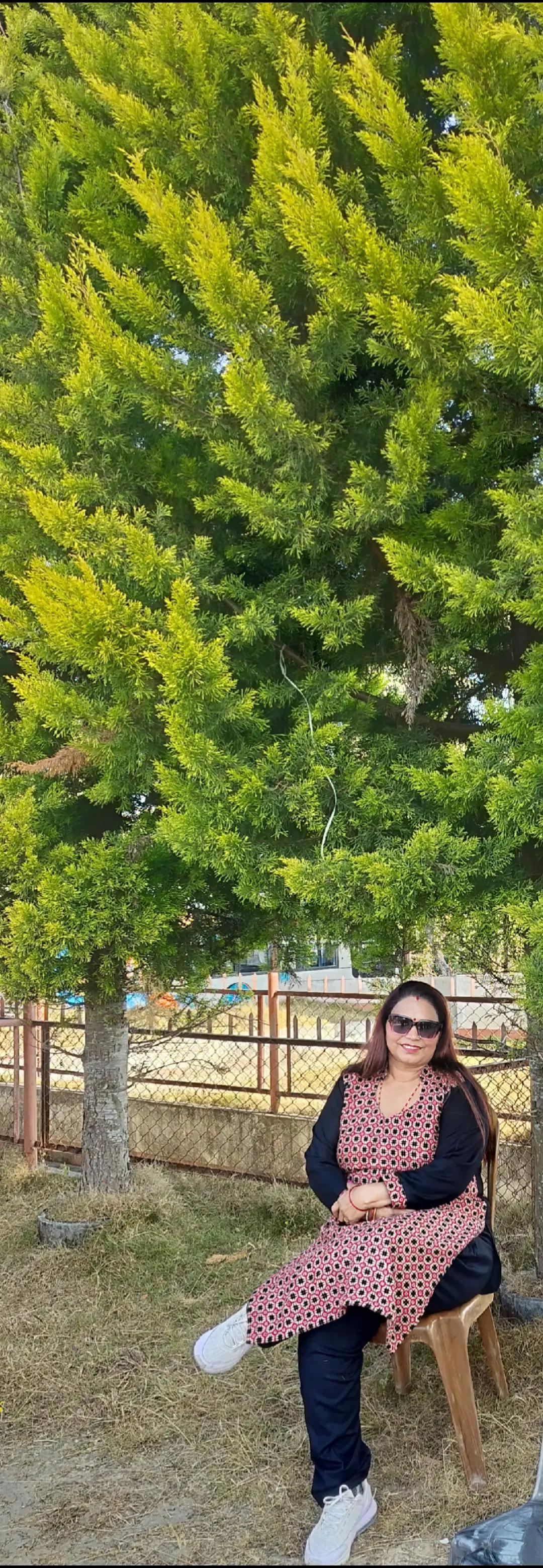@Rabita karkee
