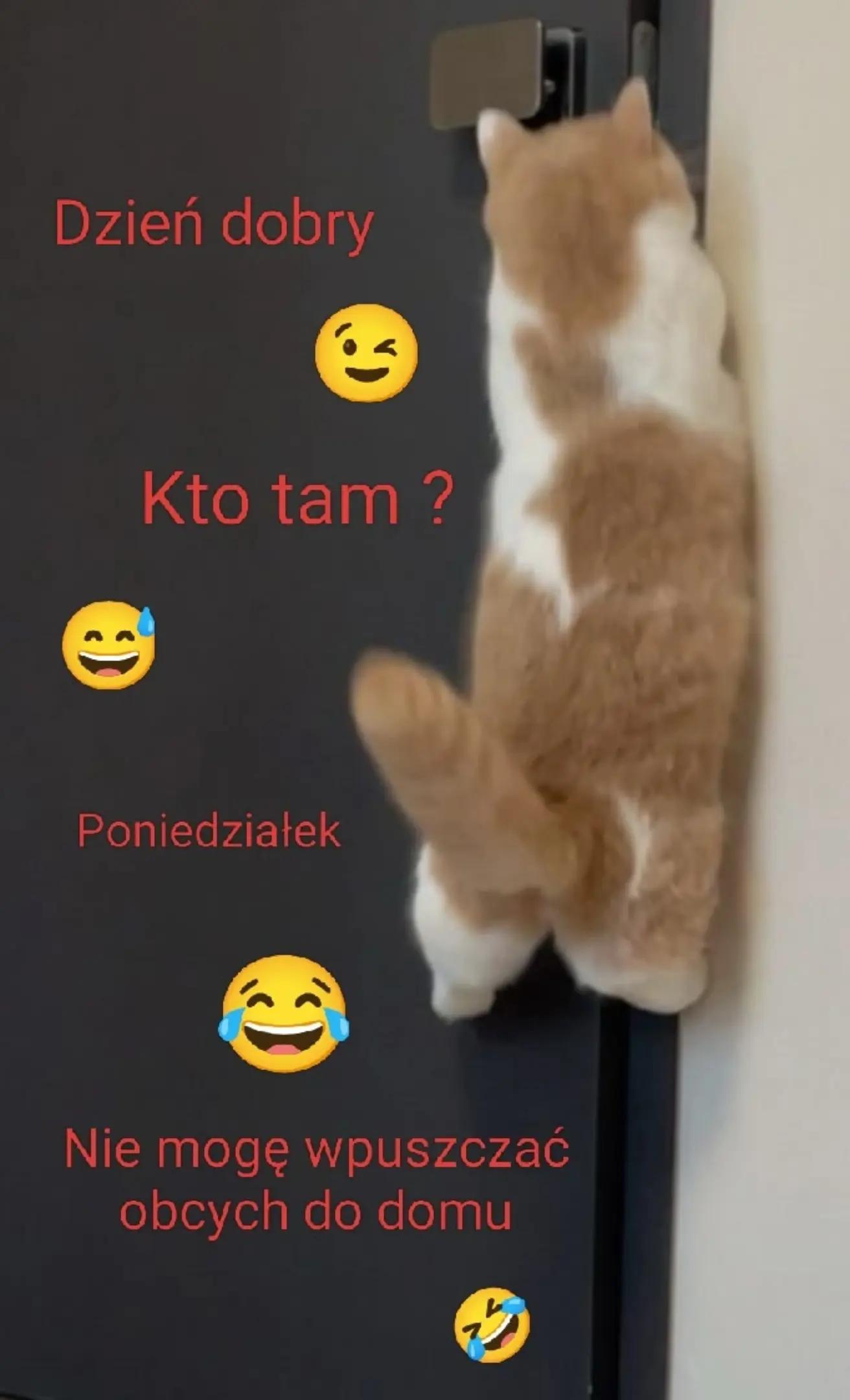 @mariolanu0