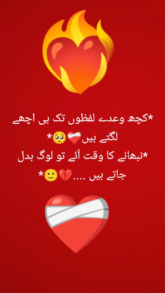 @ali Rajput