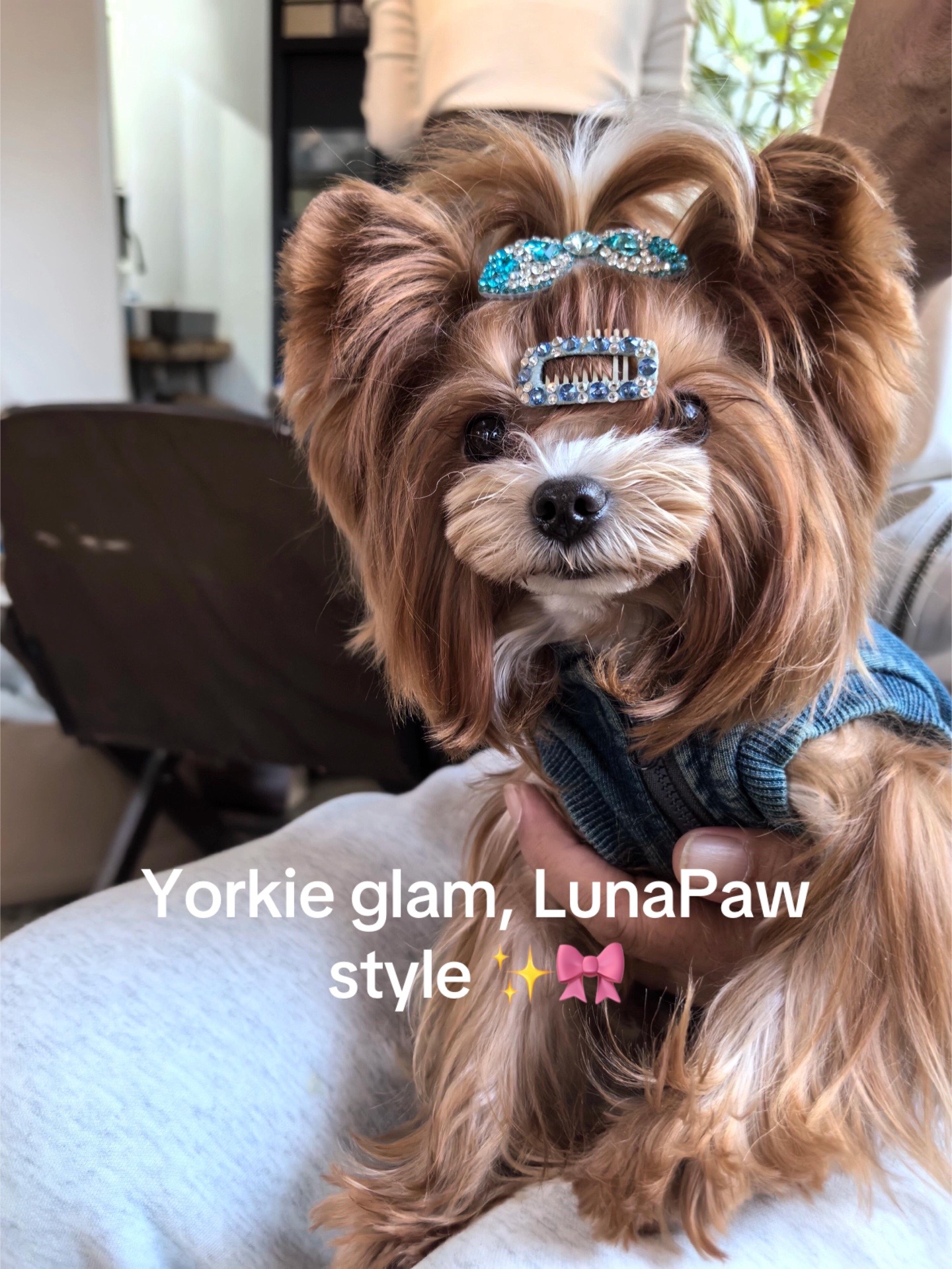 @Lunapaw Atelier