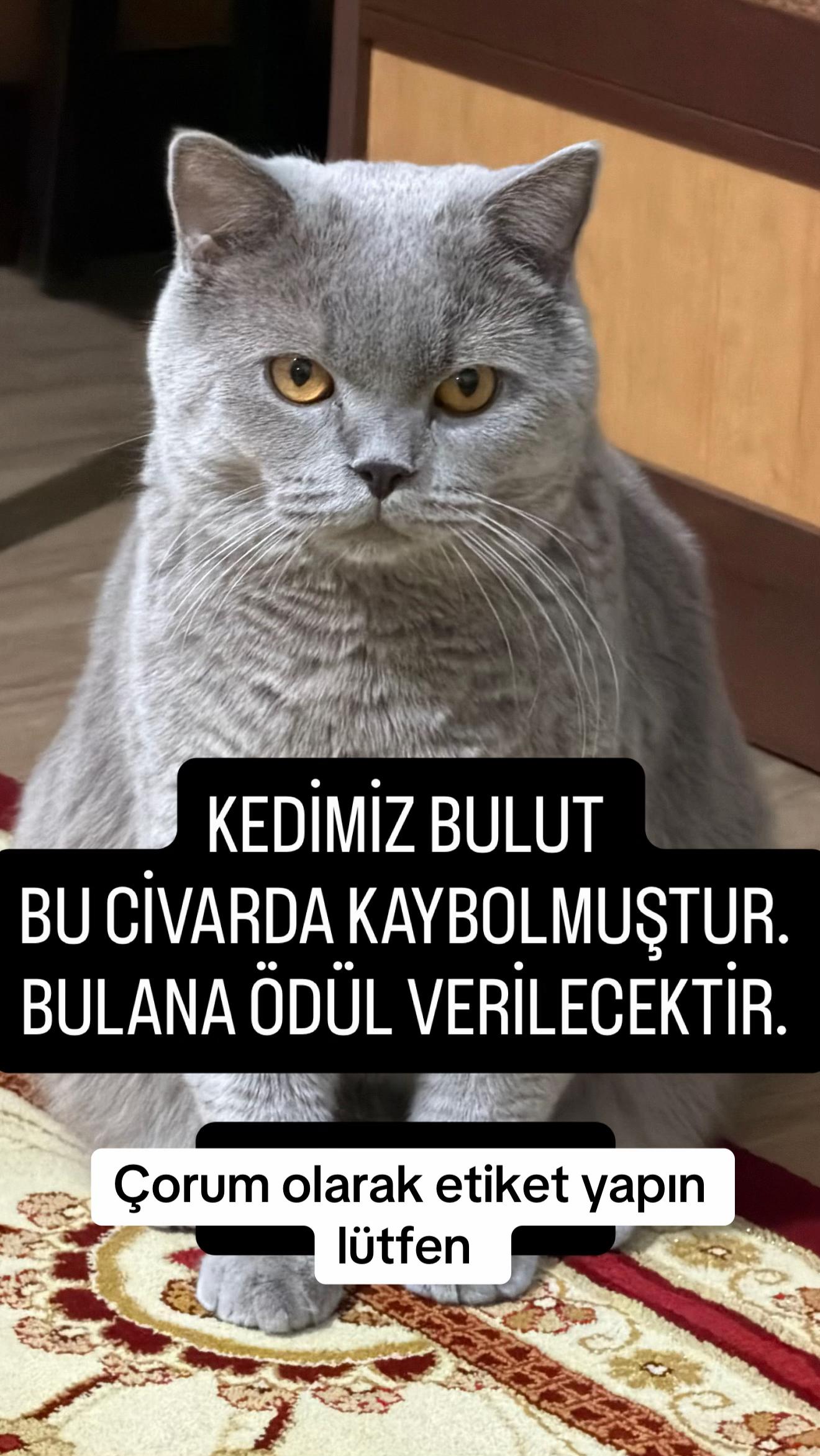 @BULUT KAYIP