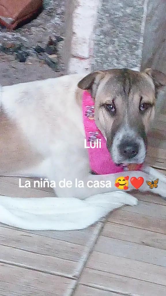 @lucia y joaquin 21/2/23