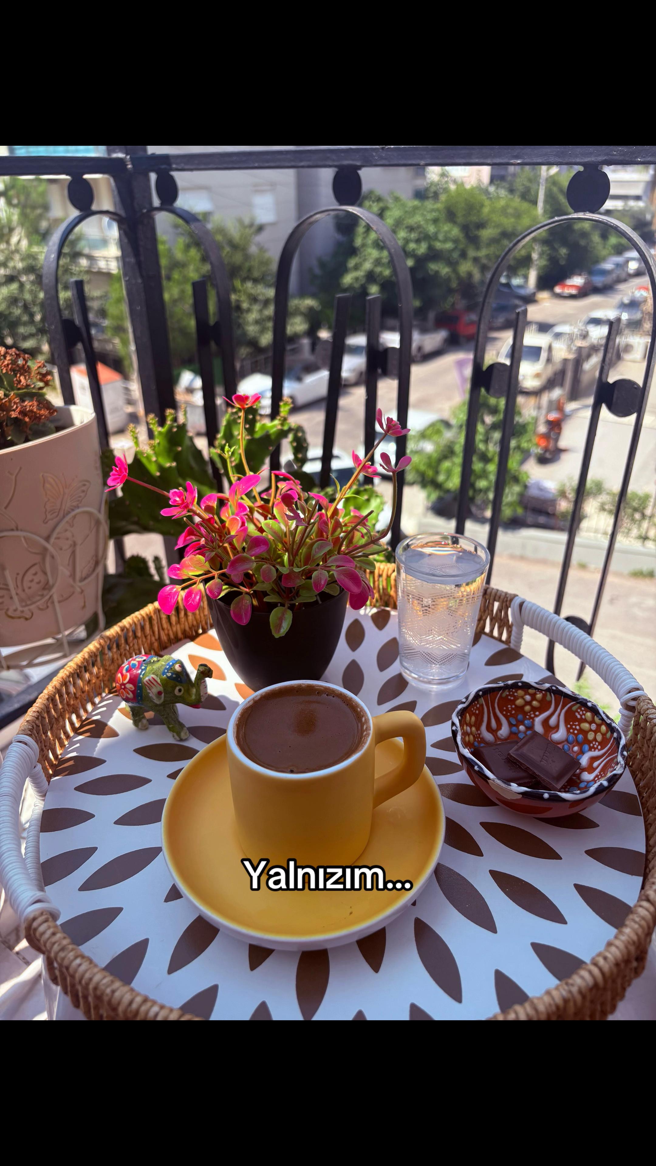 @ŞahMARan 🐍