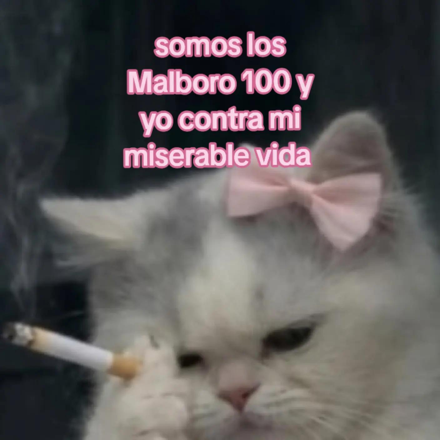 @✨NAN✨
