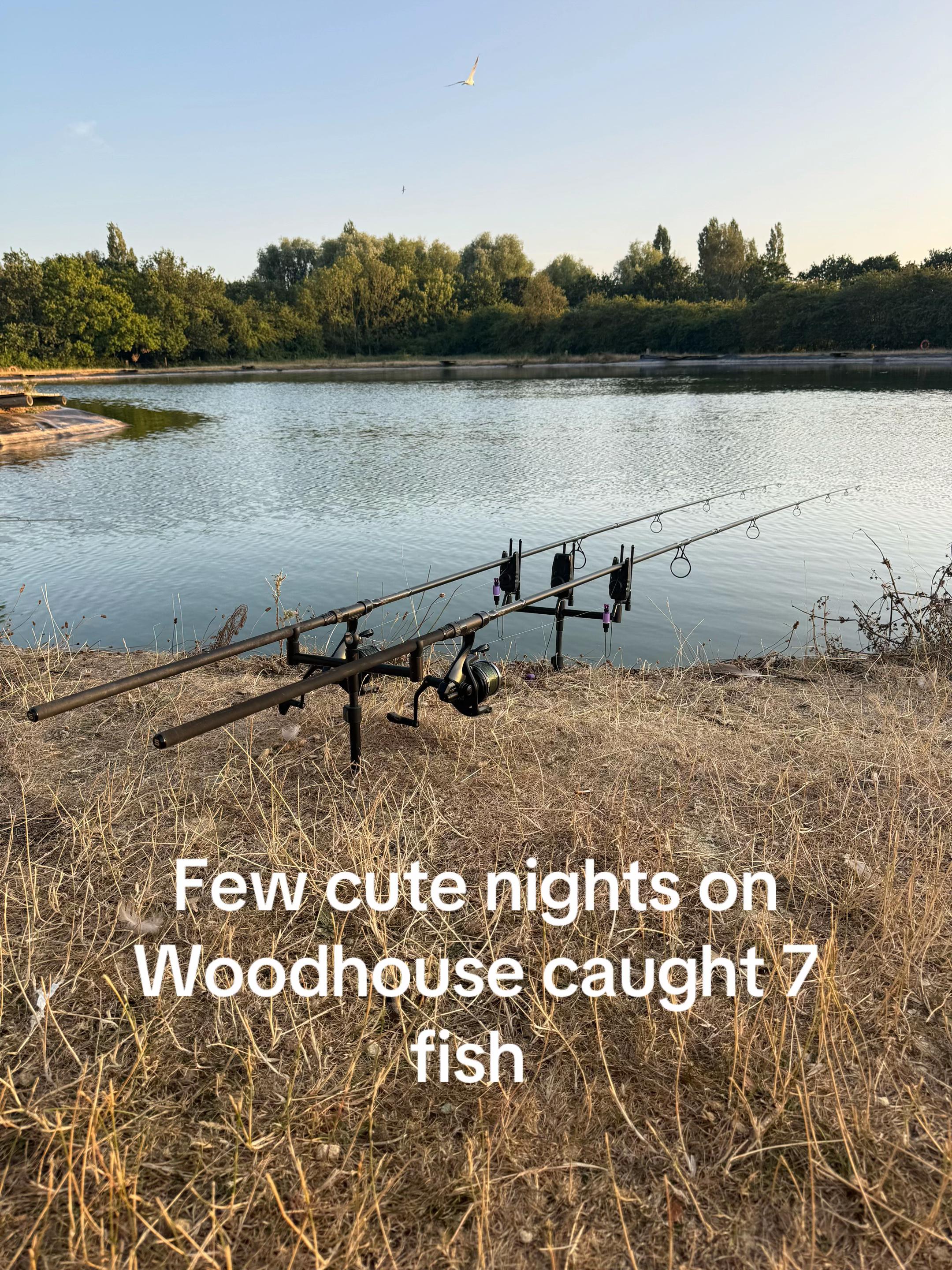 @Angling_Josh