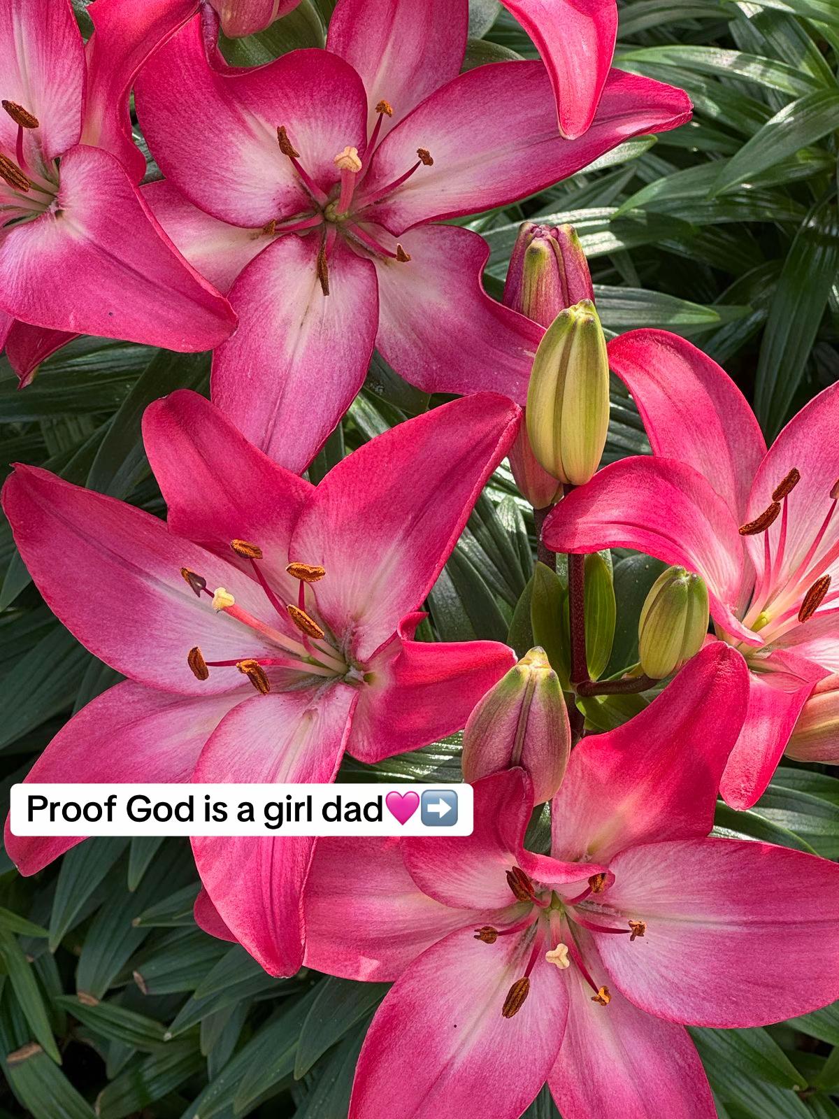 @Godsavedherr✞