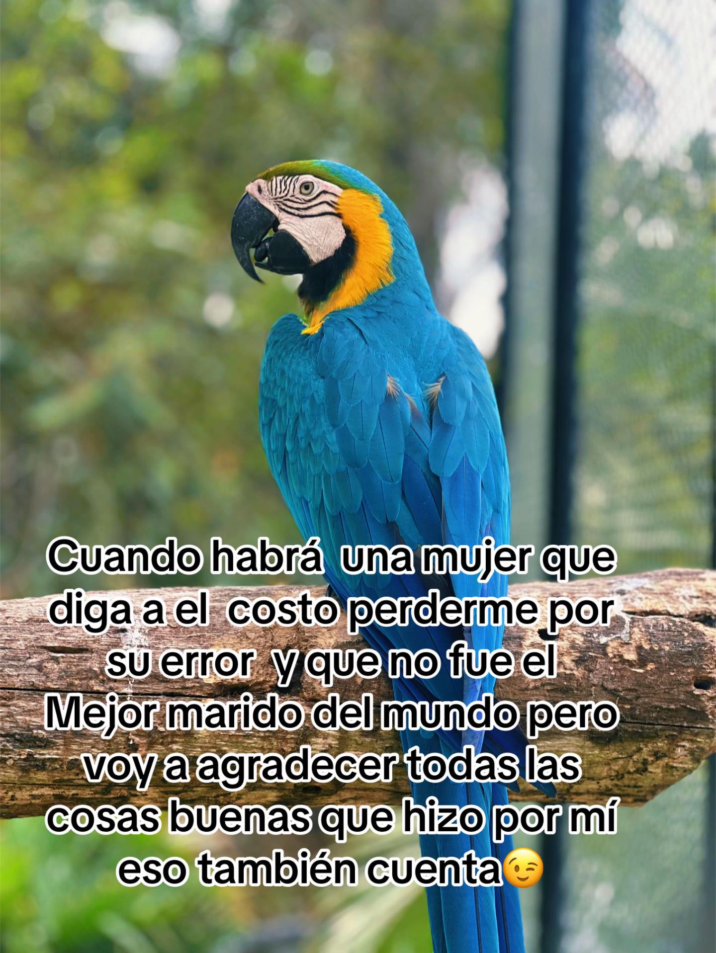 @Andres
