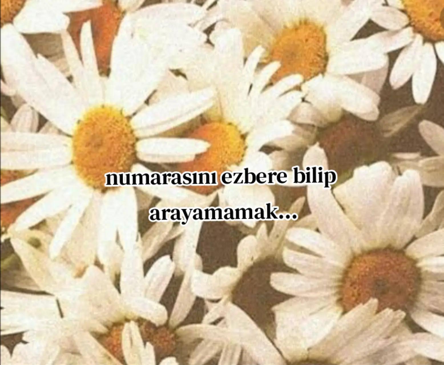 @user100705i