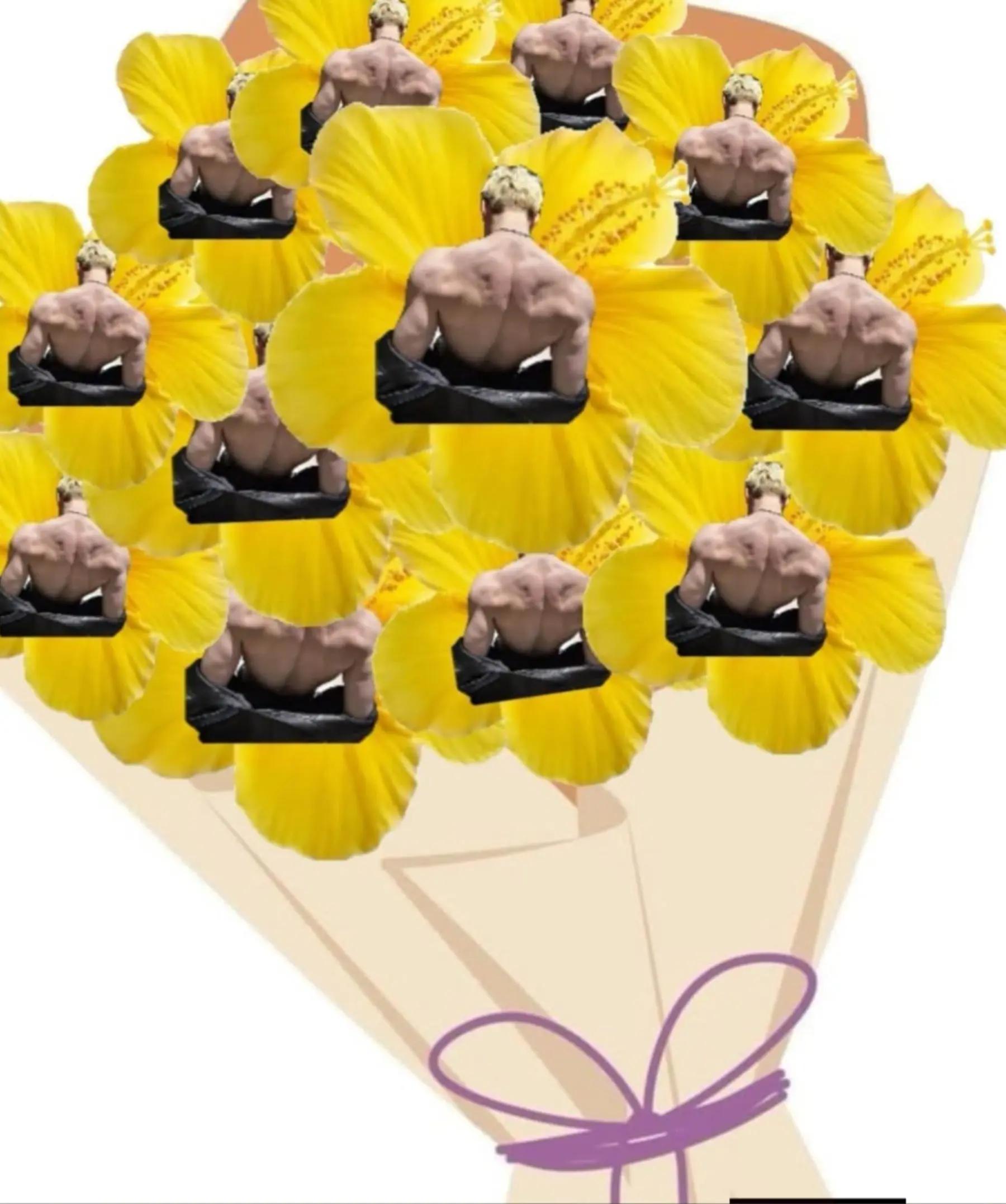 @๐๐ฑ๐ช๐ท๐ท๐ฒ๐ฎอกออโ
๐บ