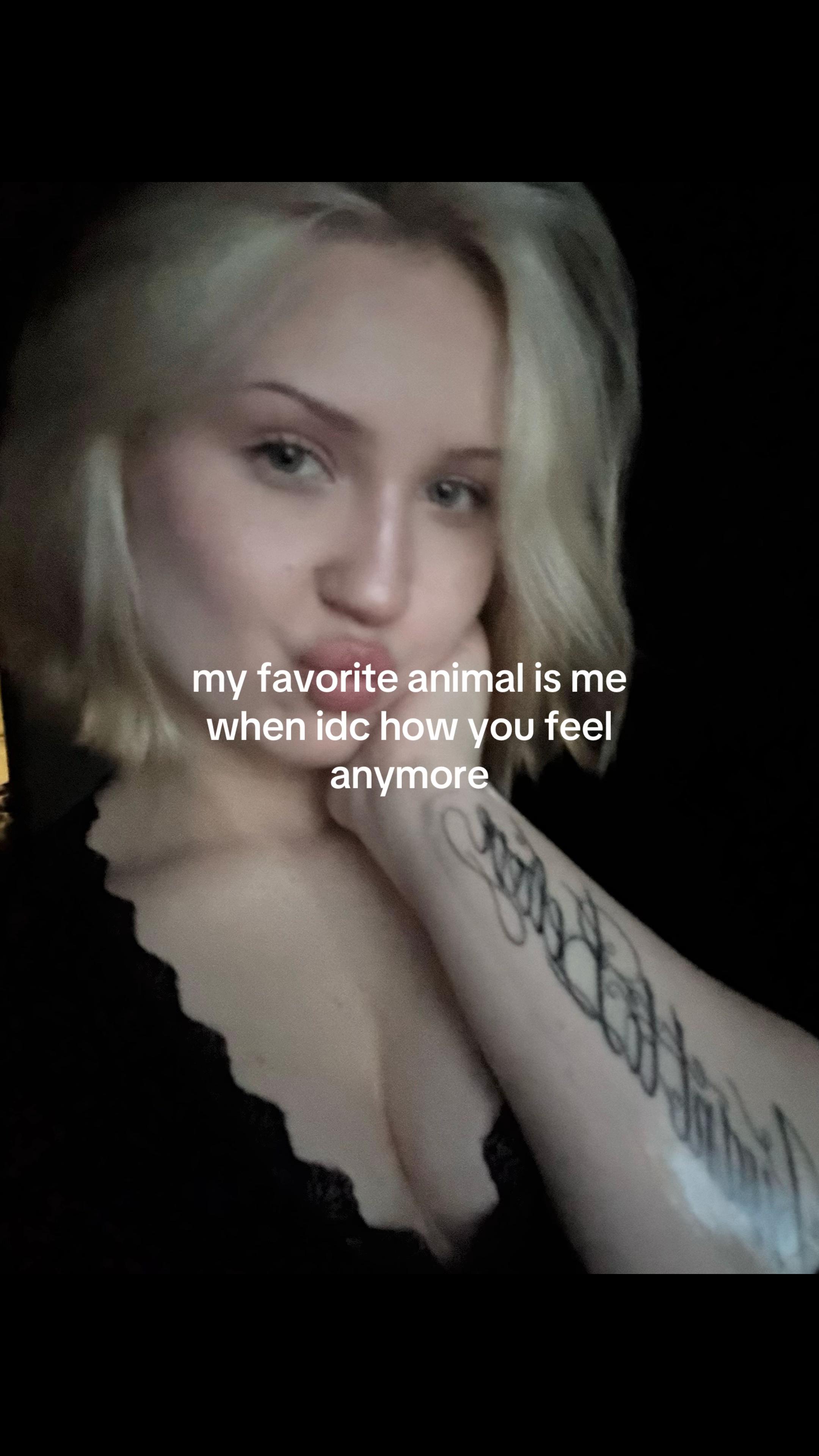 @feelii