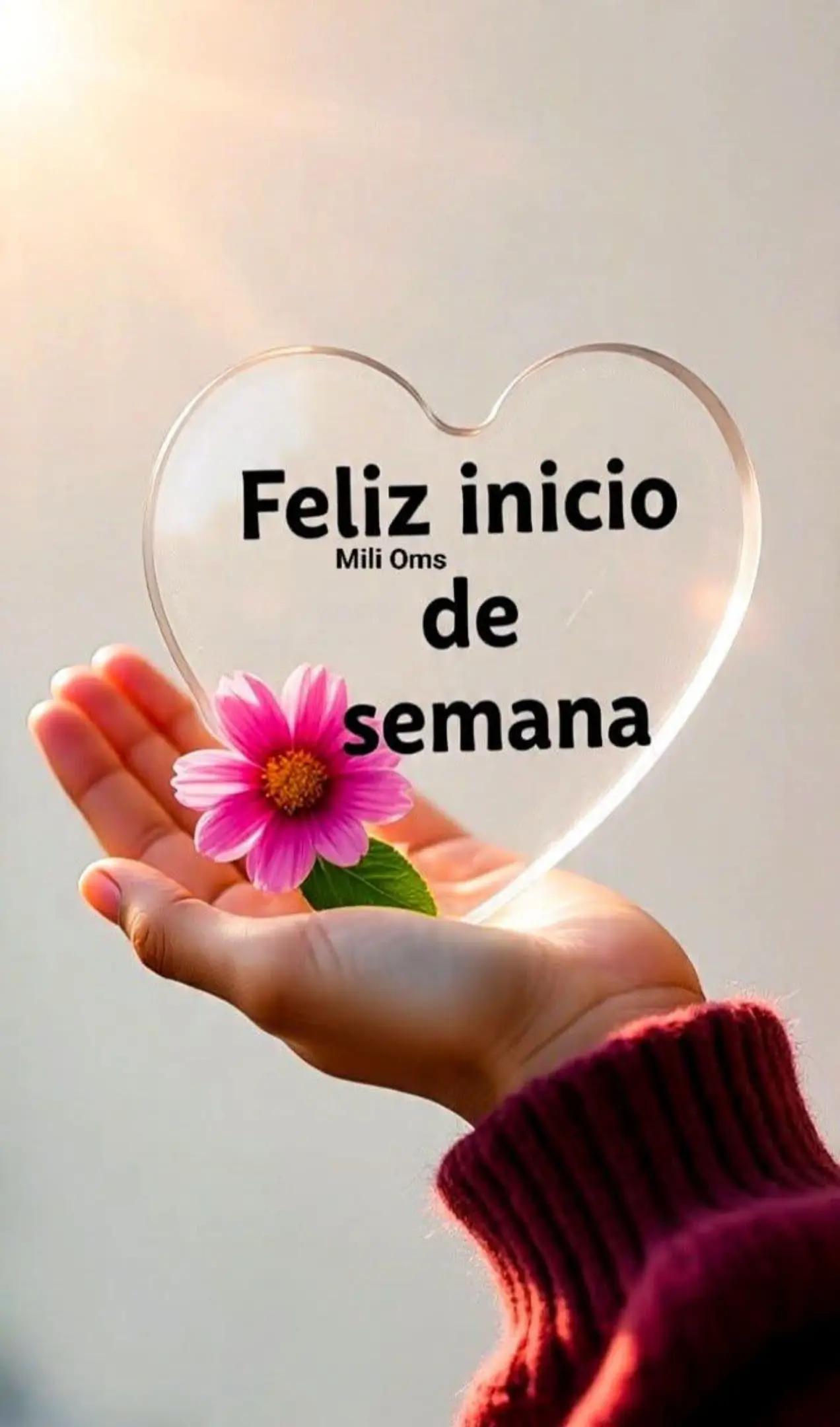 @FABI.GIM.13