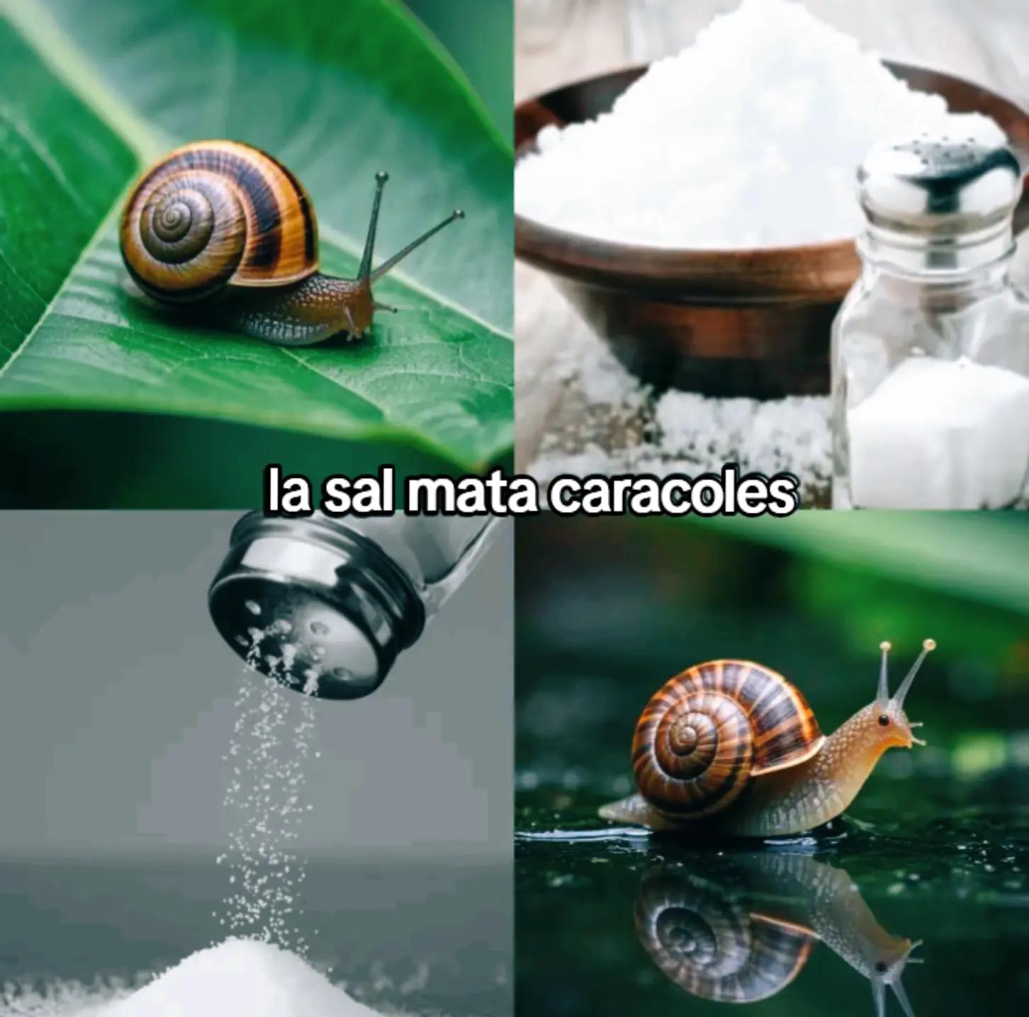 @𝕲𝖆𝖇𝖎