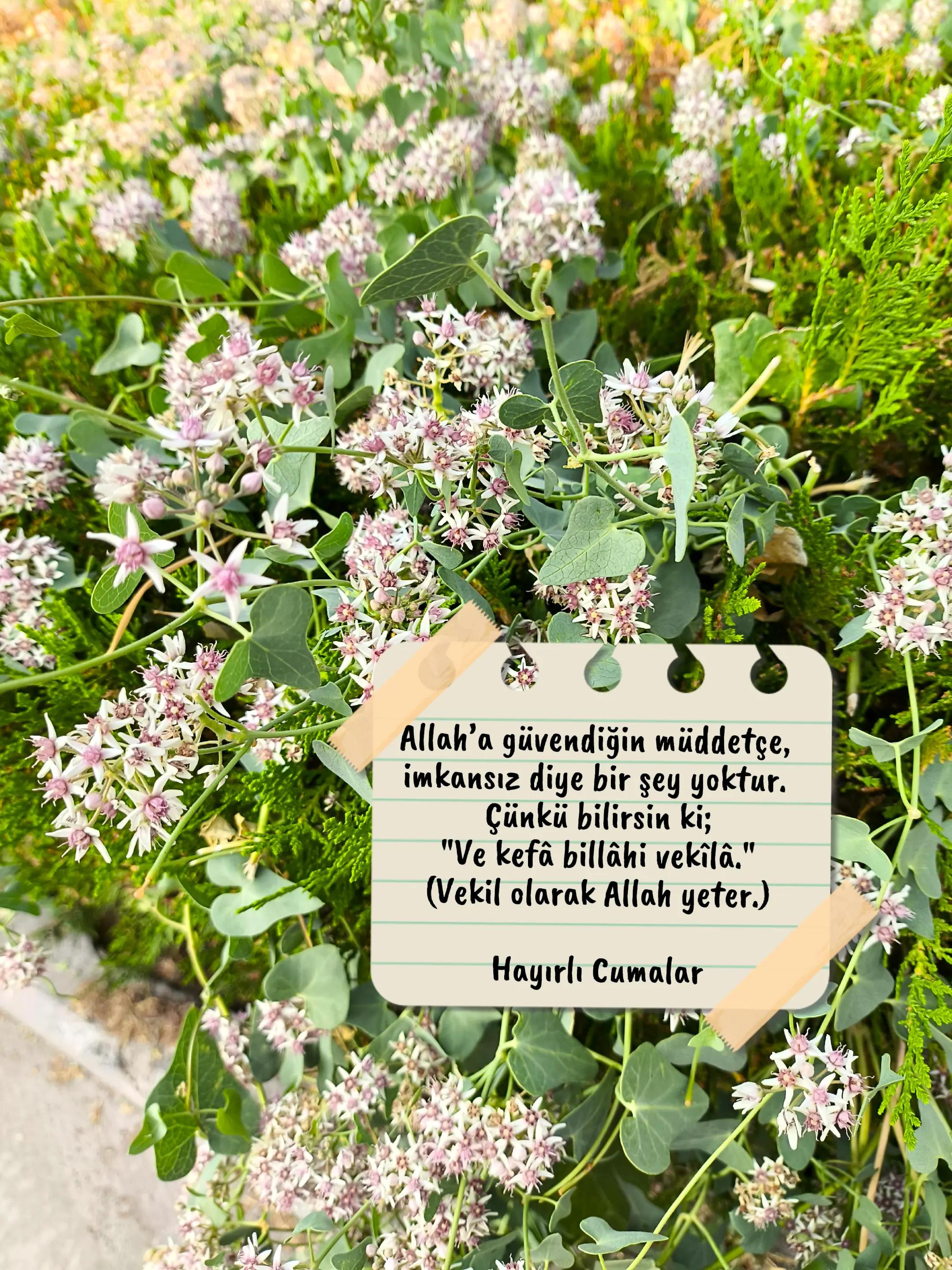 @Sultan Durur