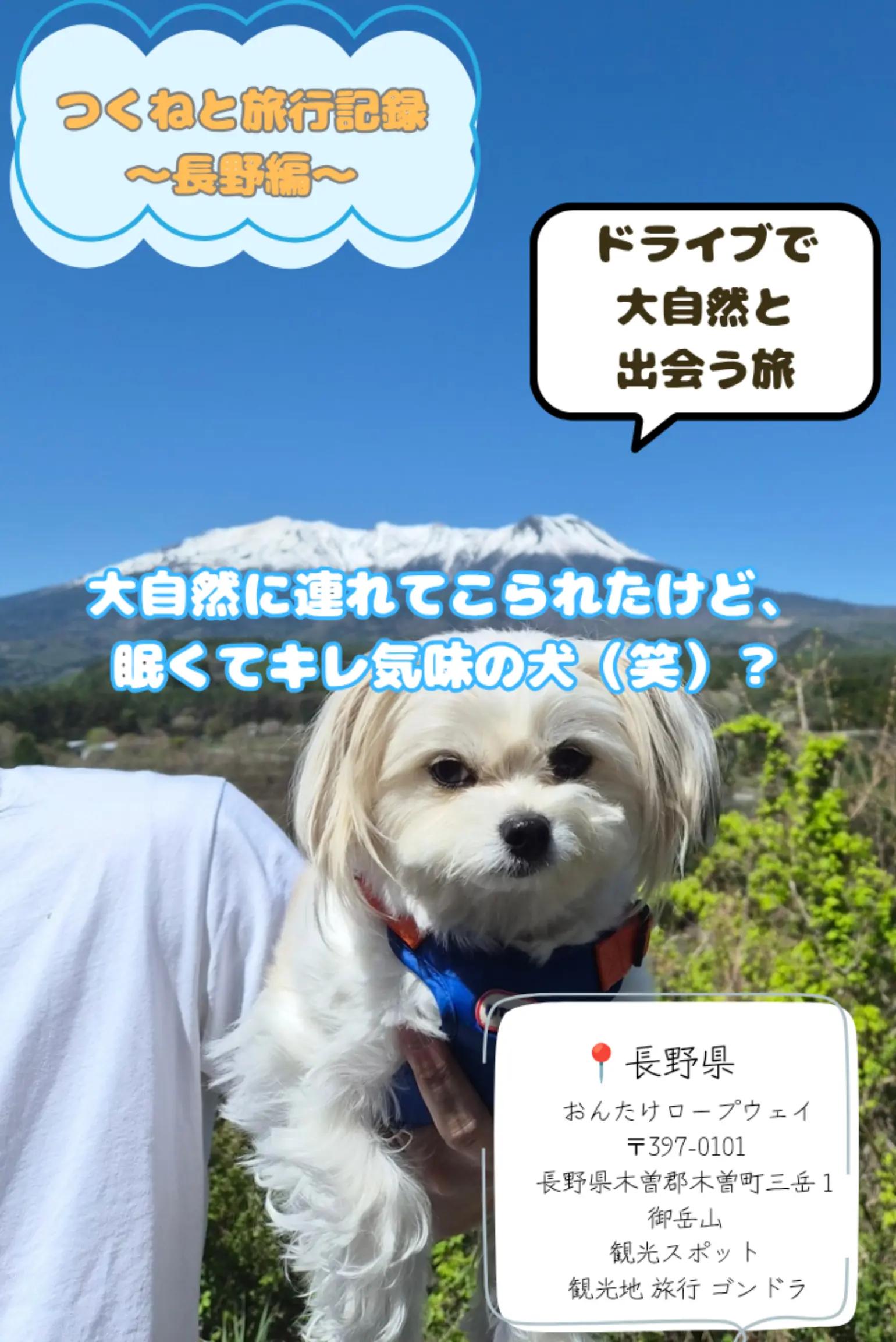 @つくねくん