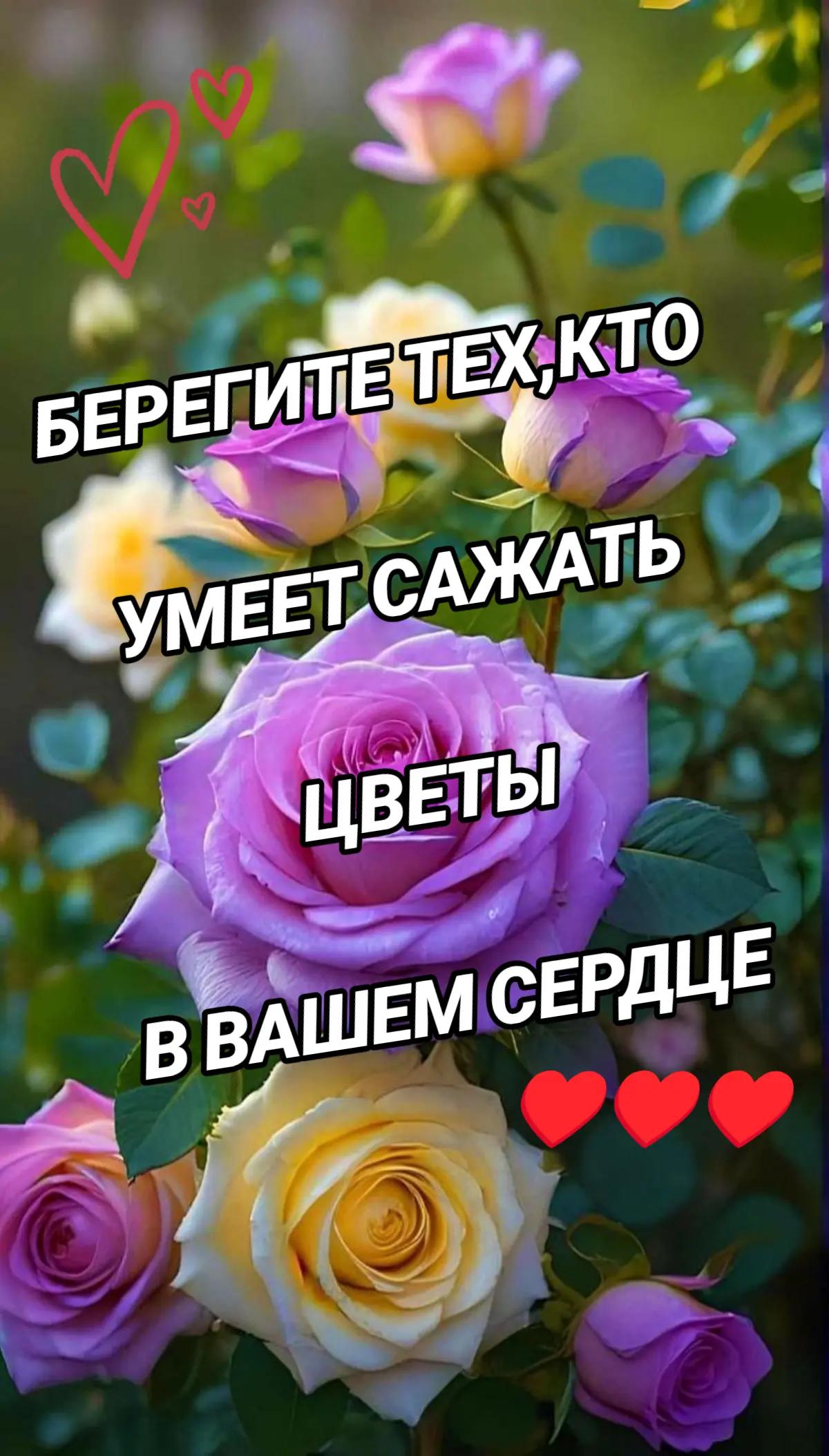 @❌🐯ЛЮДМИЛАБелоковаленко♒&hearts;️