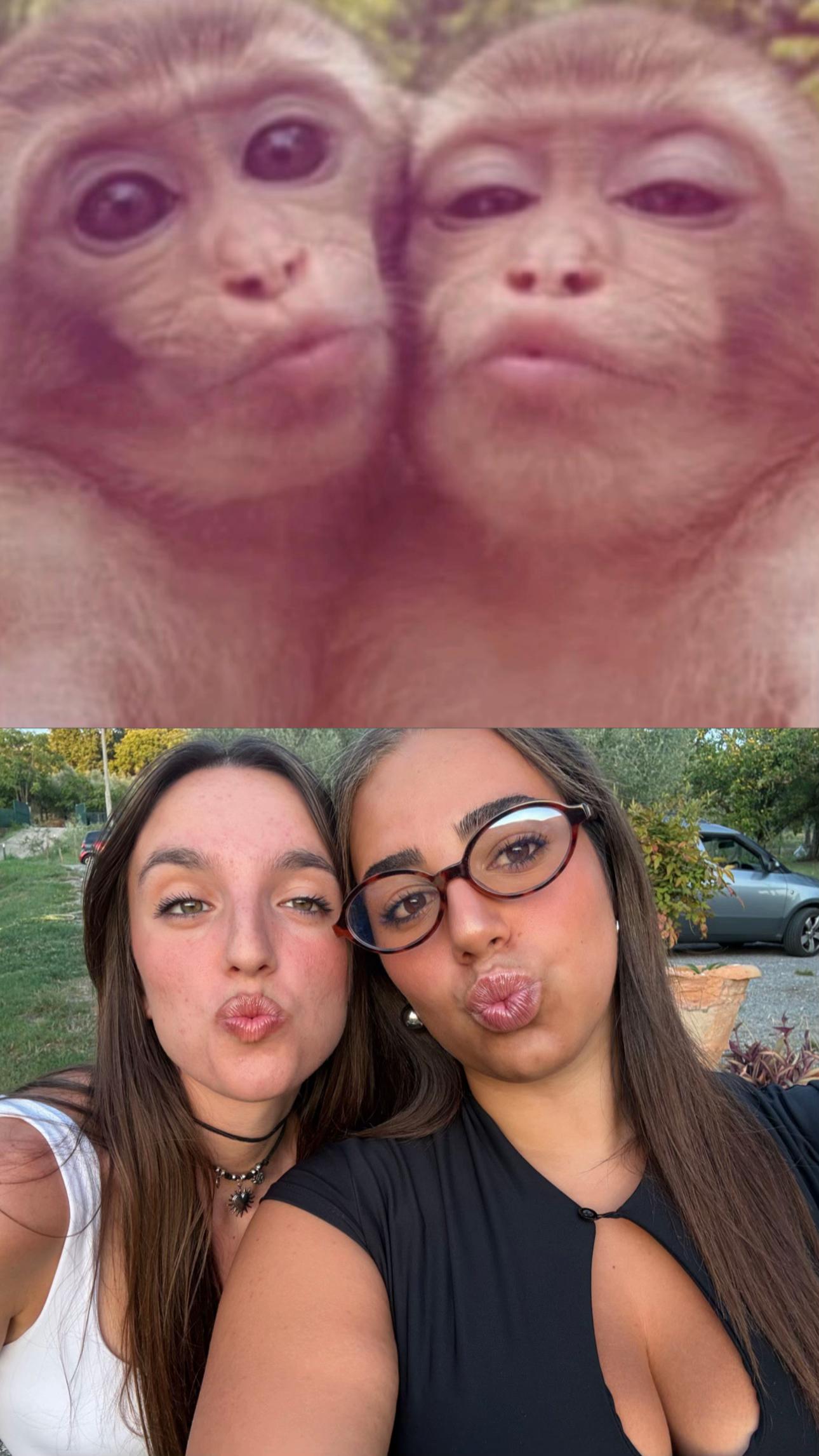 @linda_maurizi
