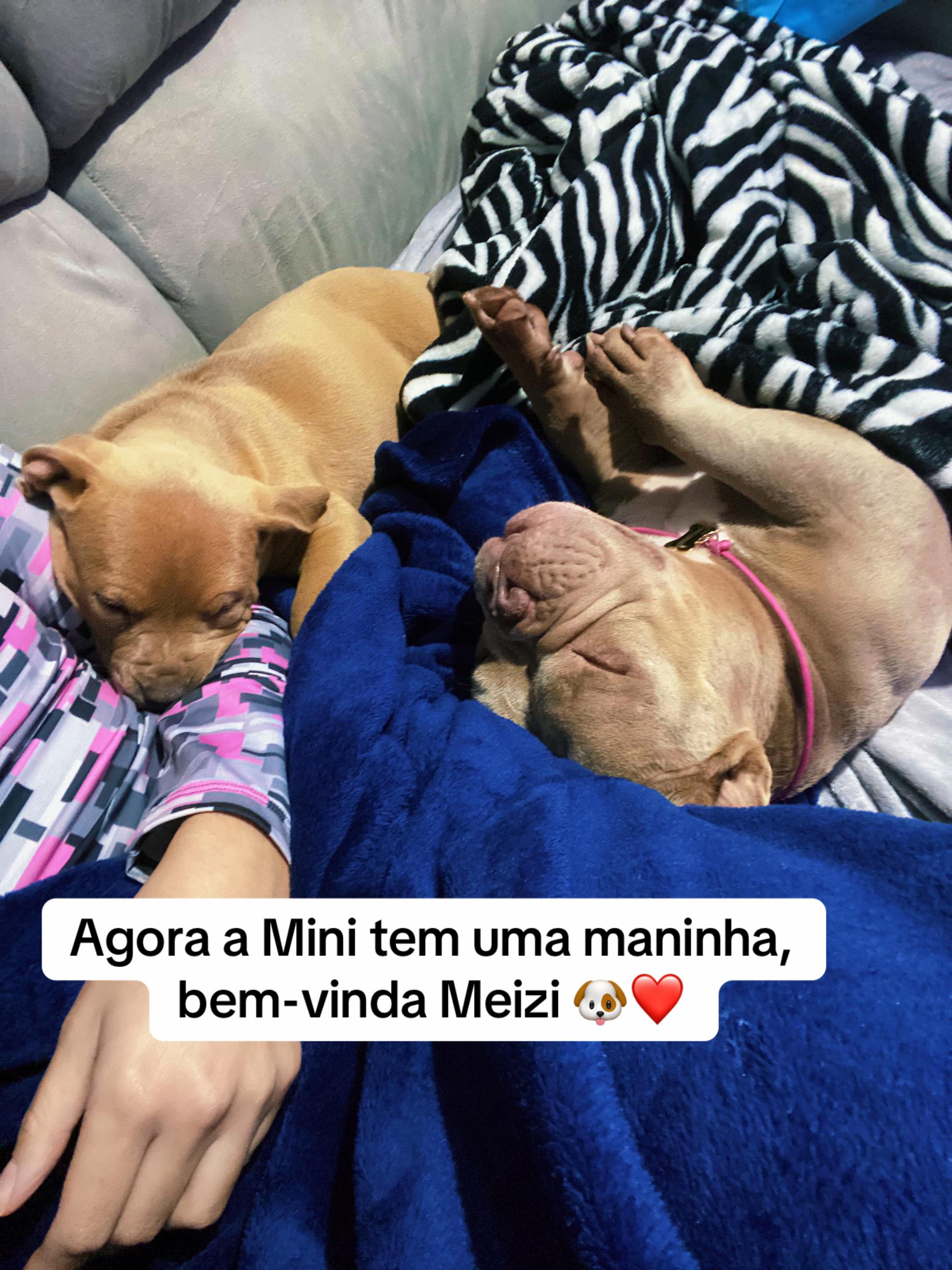 @Achadinhos da Lari