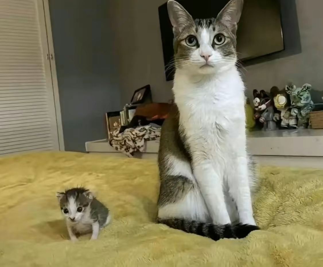 @сын фермера