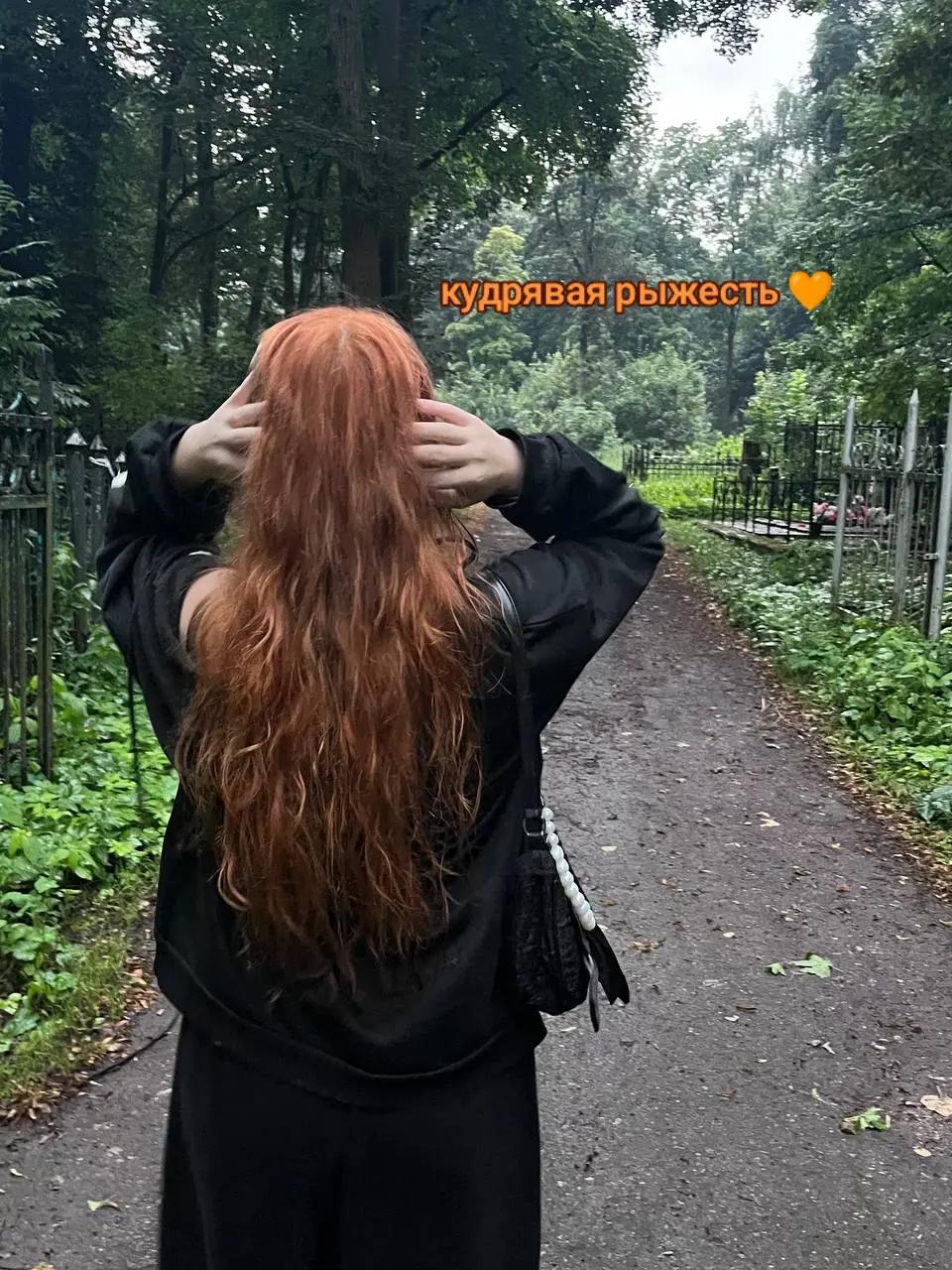@лиса я 🪽