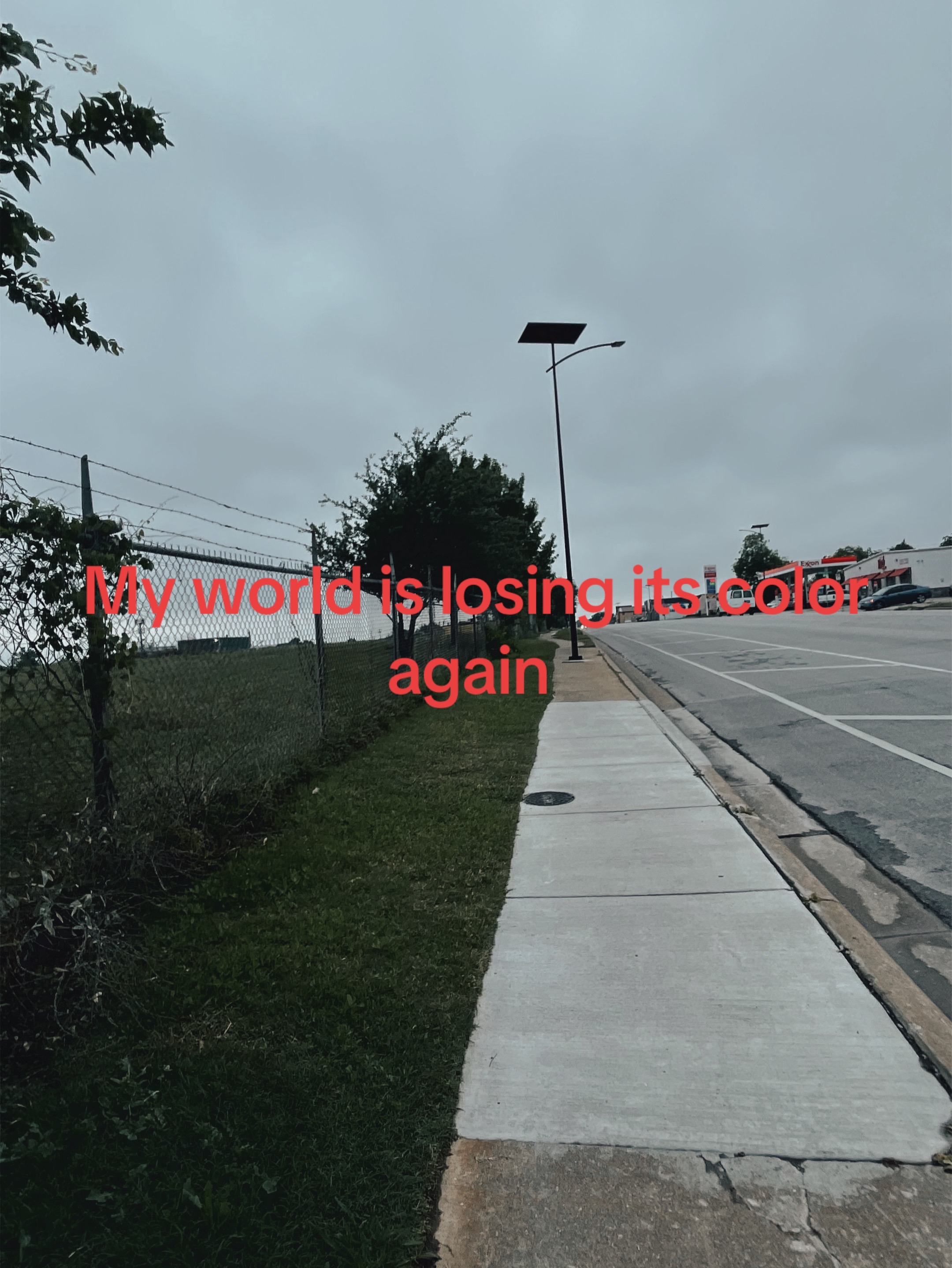 @༒𝔏𝔬𝔰𝔢𝔯༒