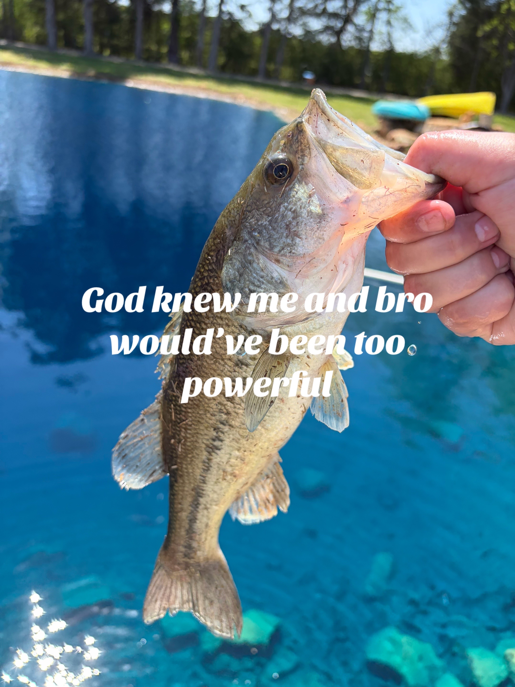 @Reel Sam