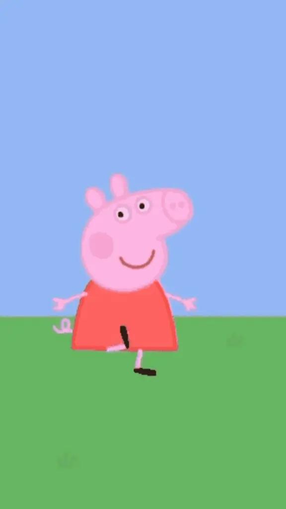 @silvia