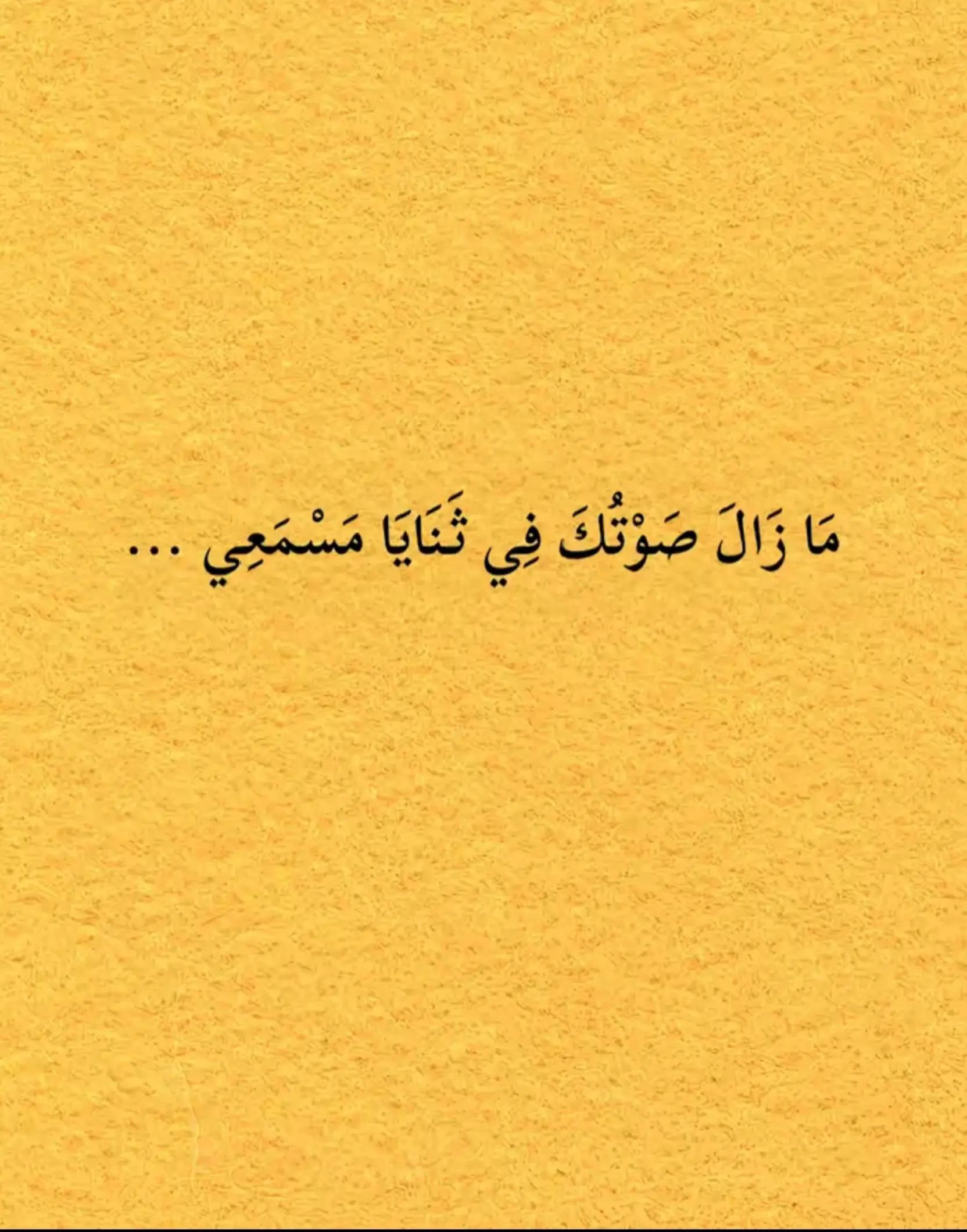 @ضحى ⁞🤍
