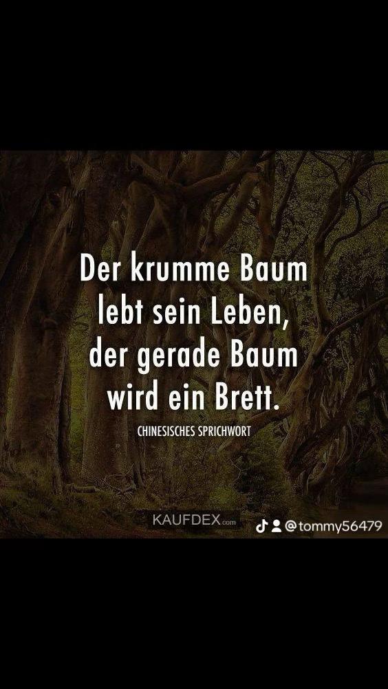 @Thomas der Waldmeister ❤️🔥