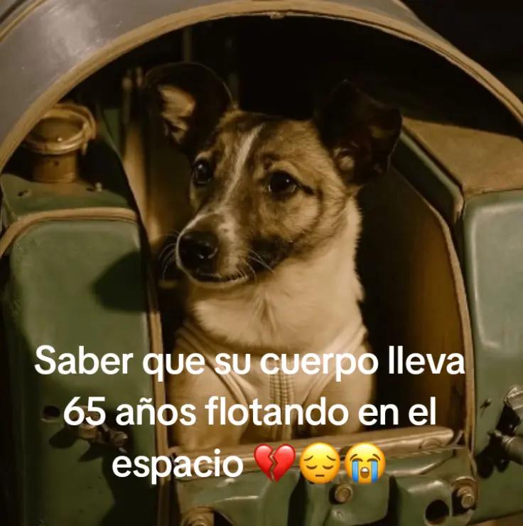 @Jesus mayve castro 🎀🫧✨️