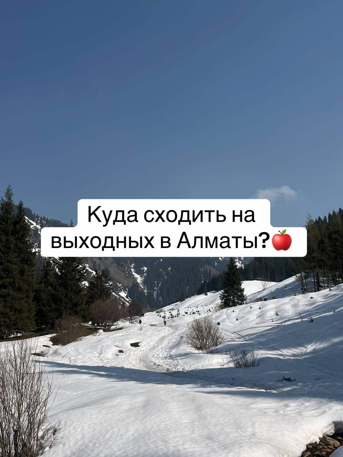 @demalu.diary