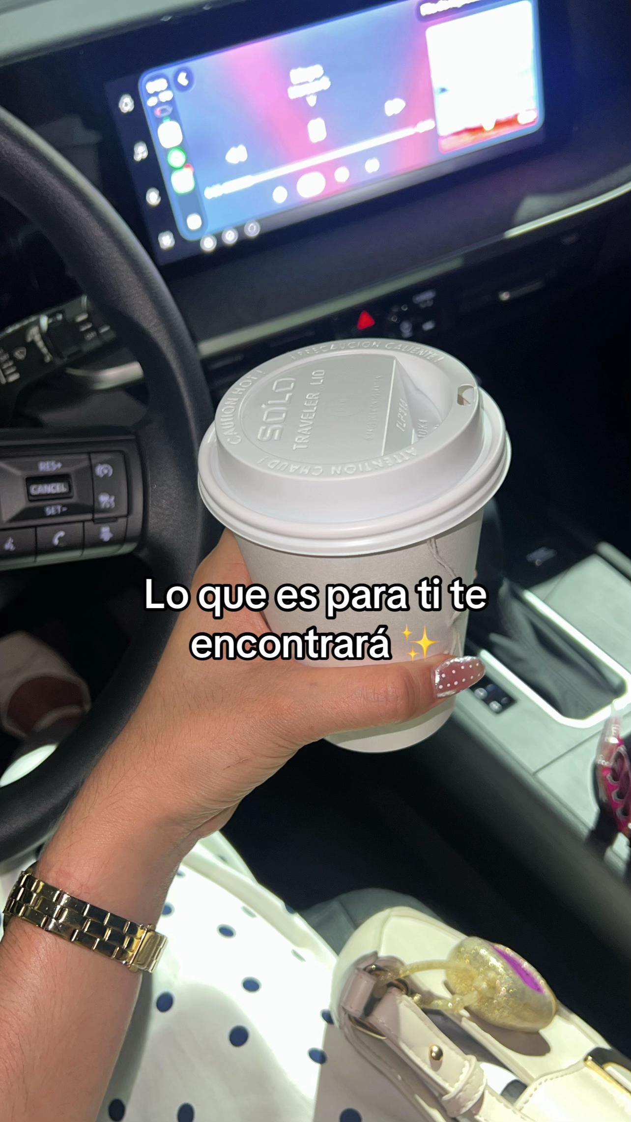 @Steffy Gards