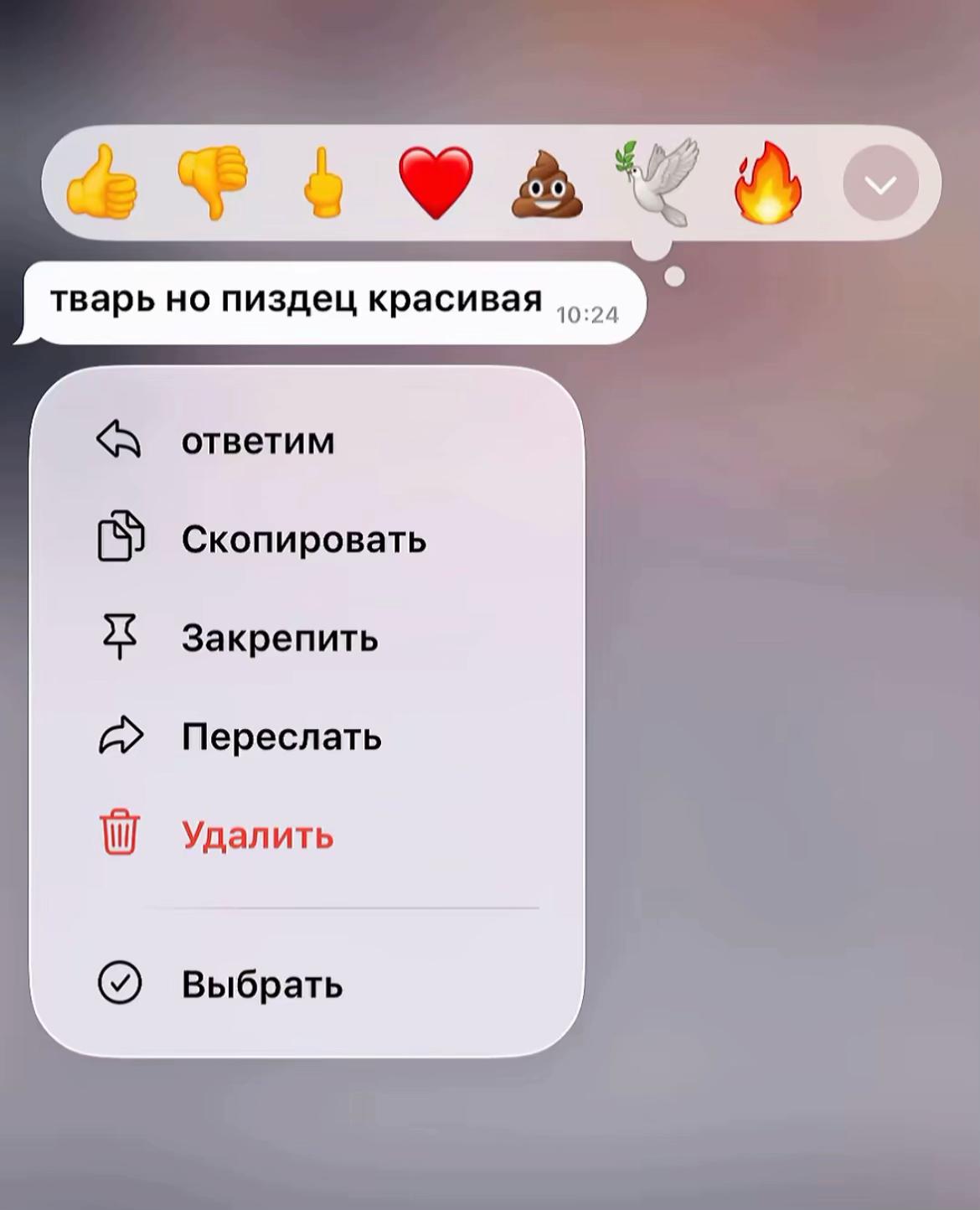 @nikasx🪽