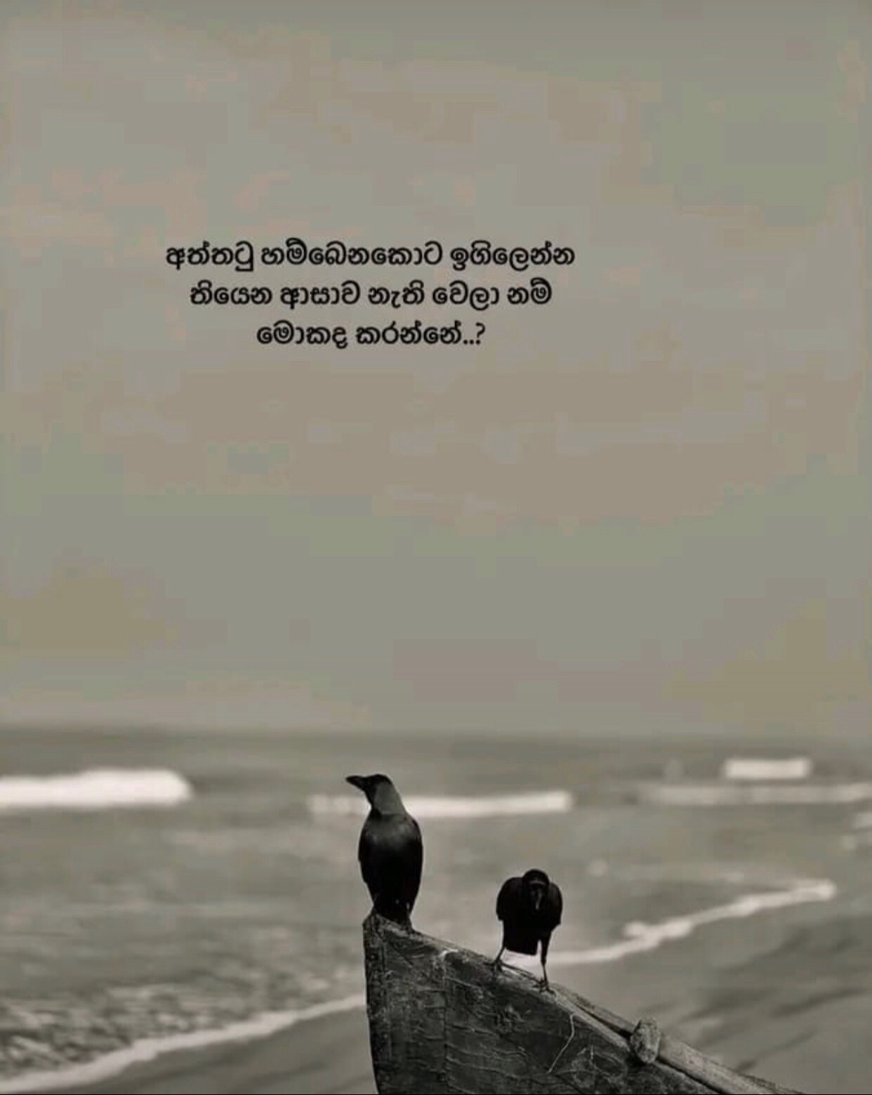 @Kani 🇱🇰