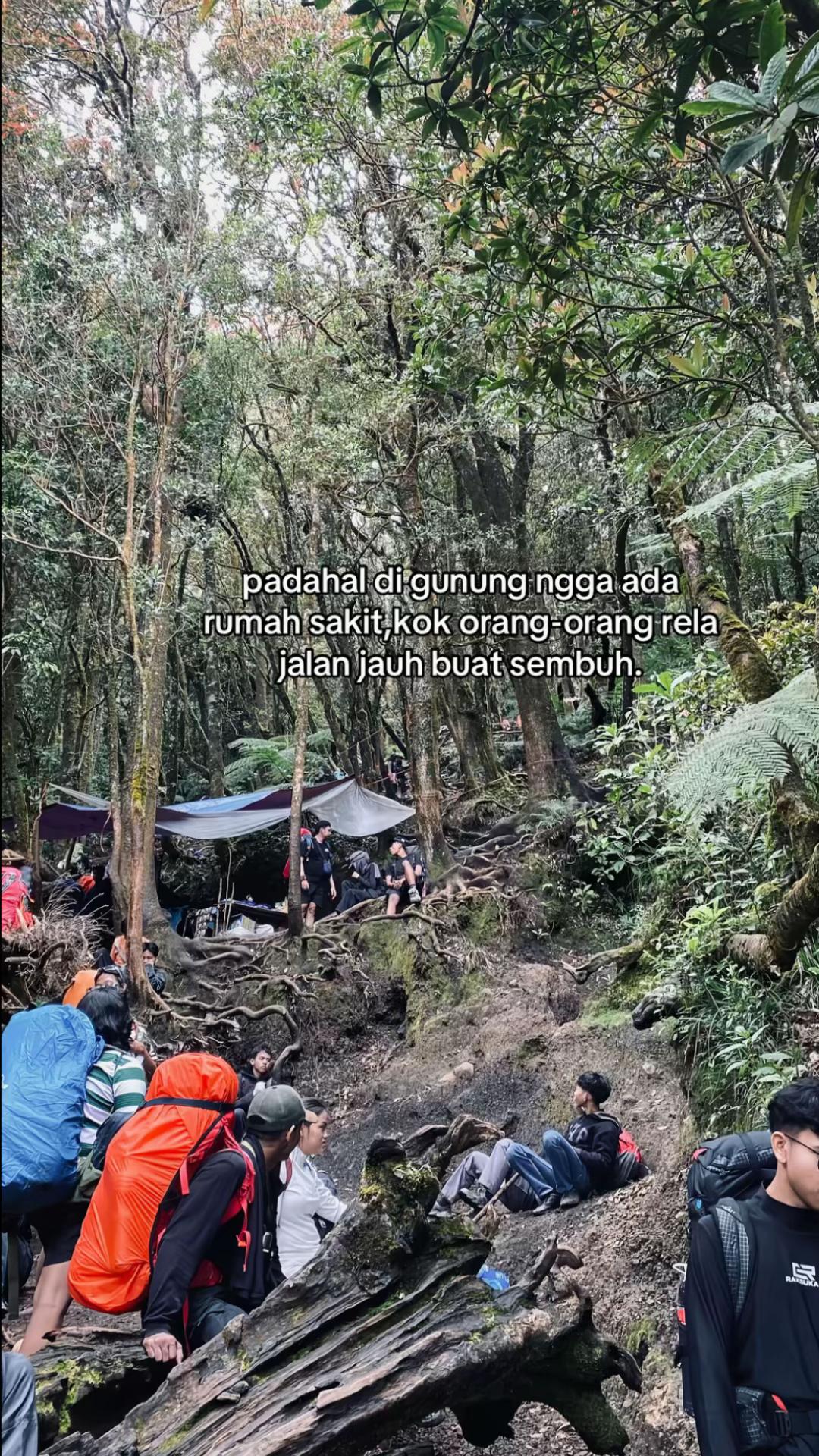 @noviherdyy