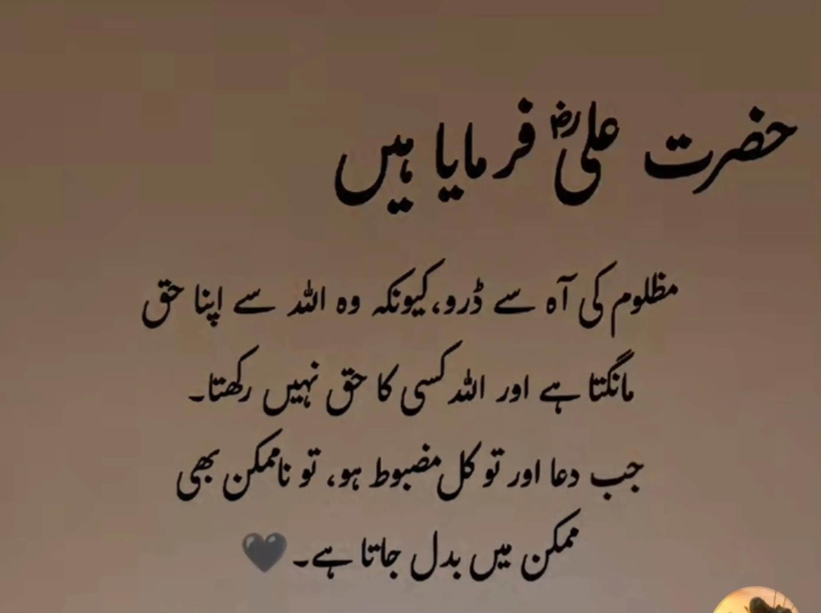 @راجہ سبحان 👑(عُرف خان جی)