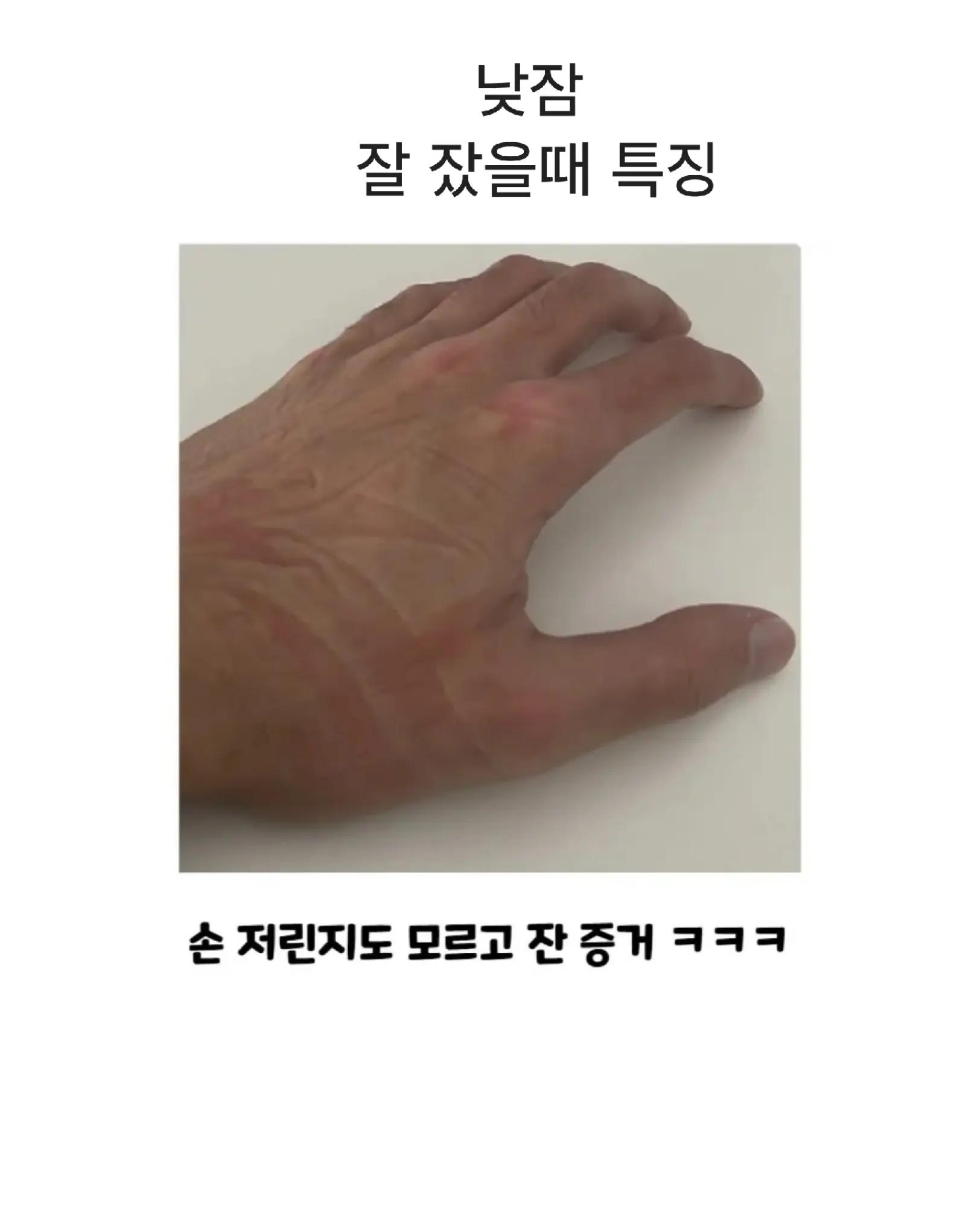 @로이젤