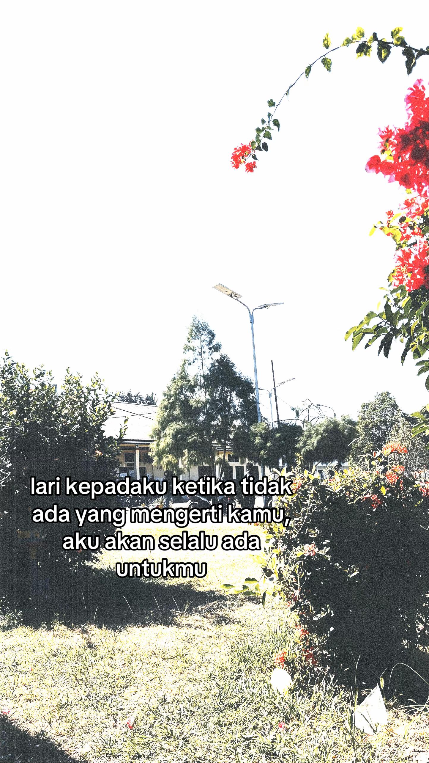 @faldy