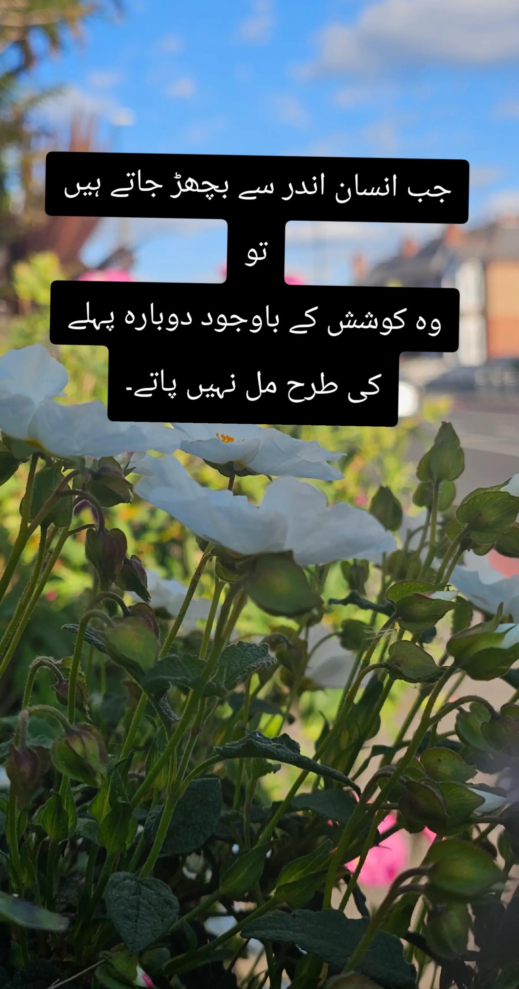 @Urwa 🇬🇧