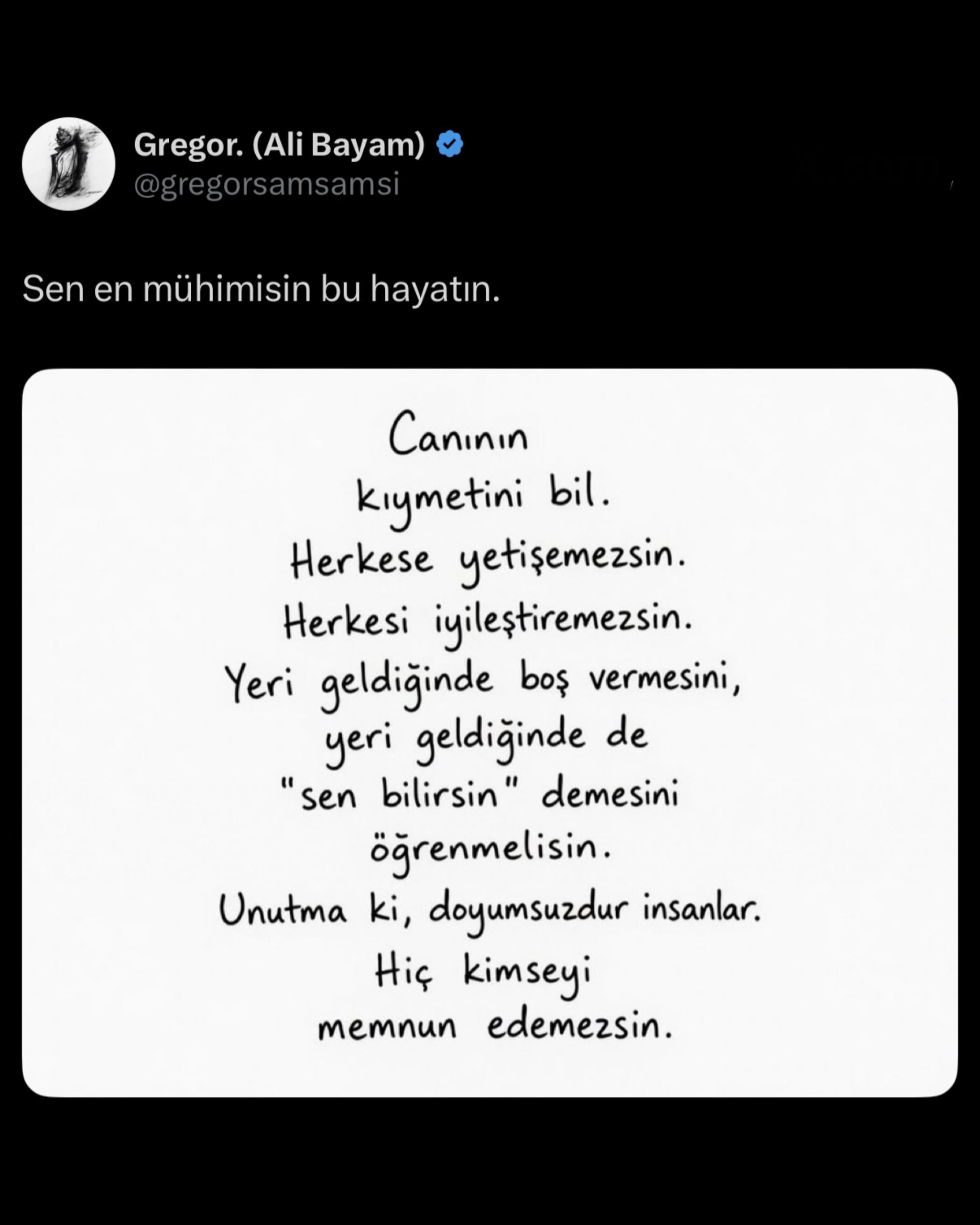 @Ali Bayam