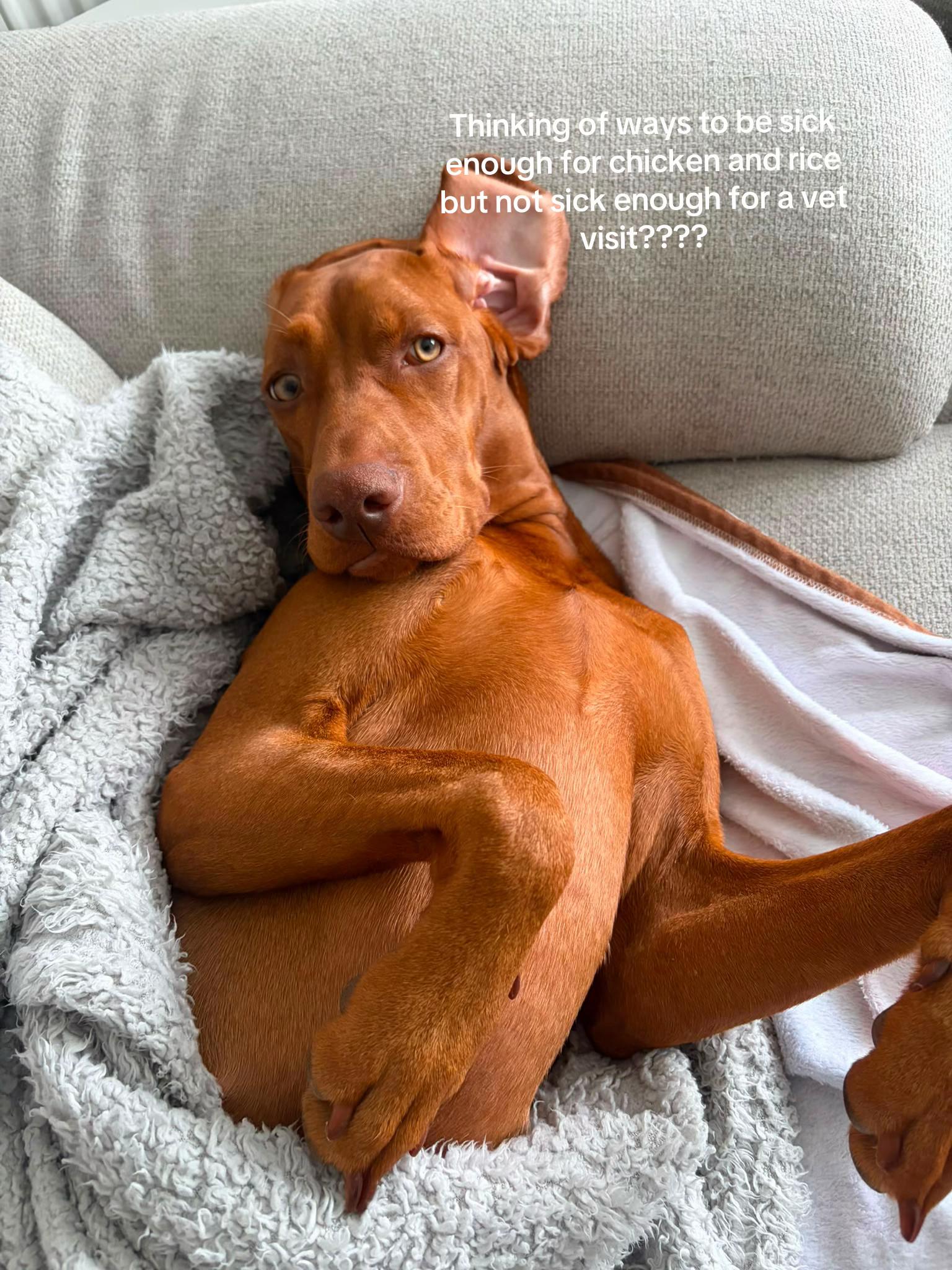@LittleMissIndie
