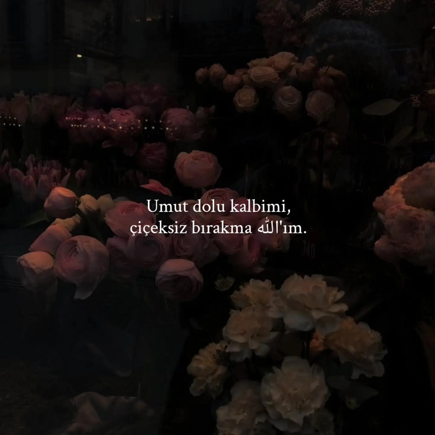 @ᴅᴜᴀ ᴅɪ̇ʏᴀʀɪᴍ
