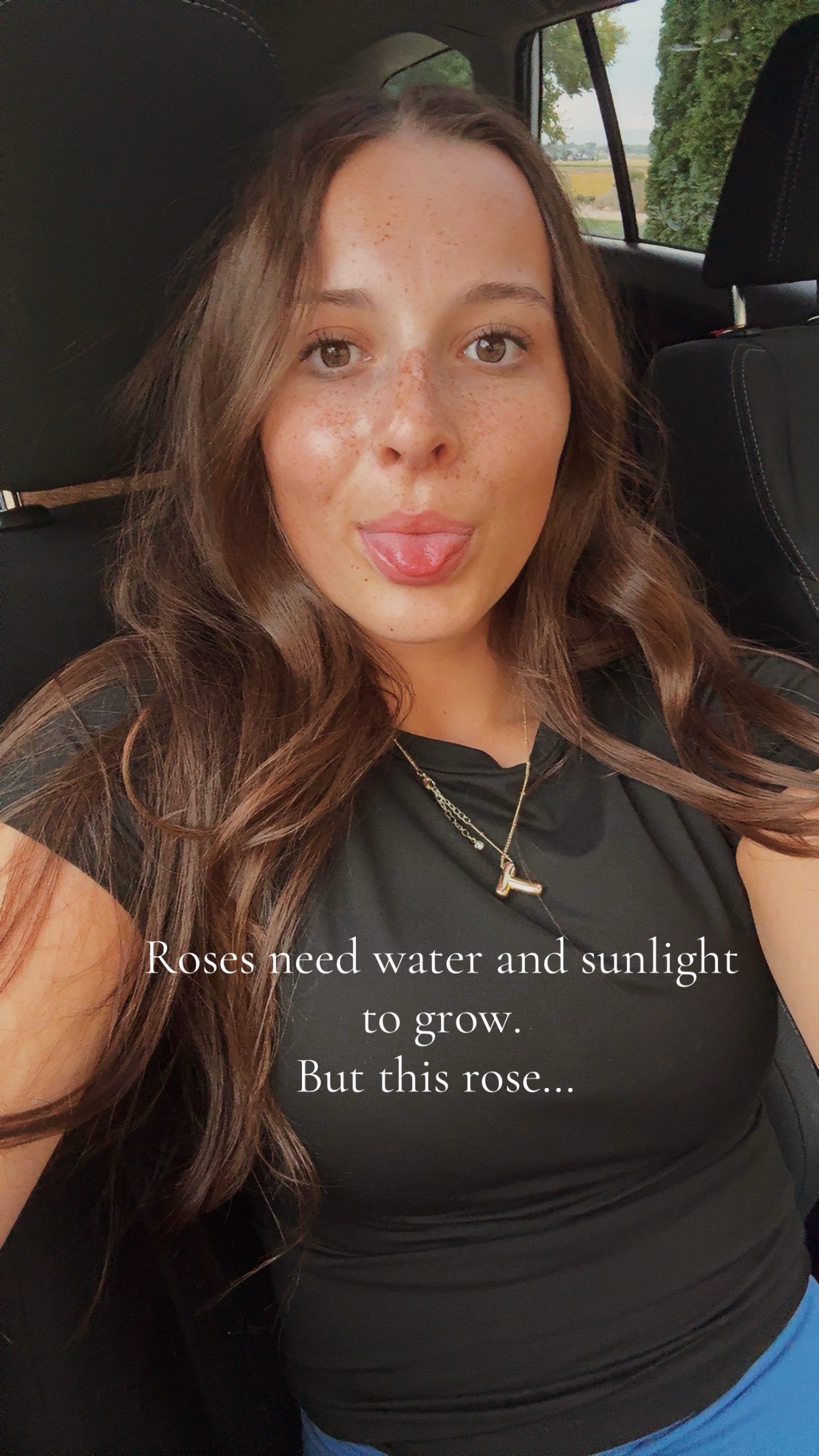 @Taylee