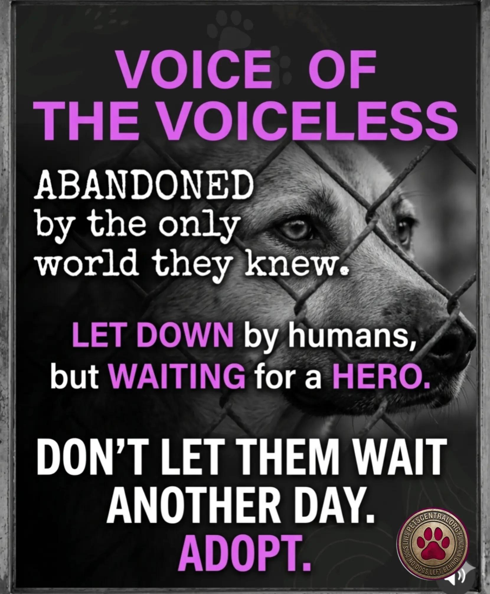 @Petscentralorg DLM Foundation
