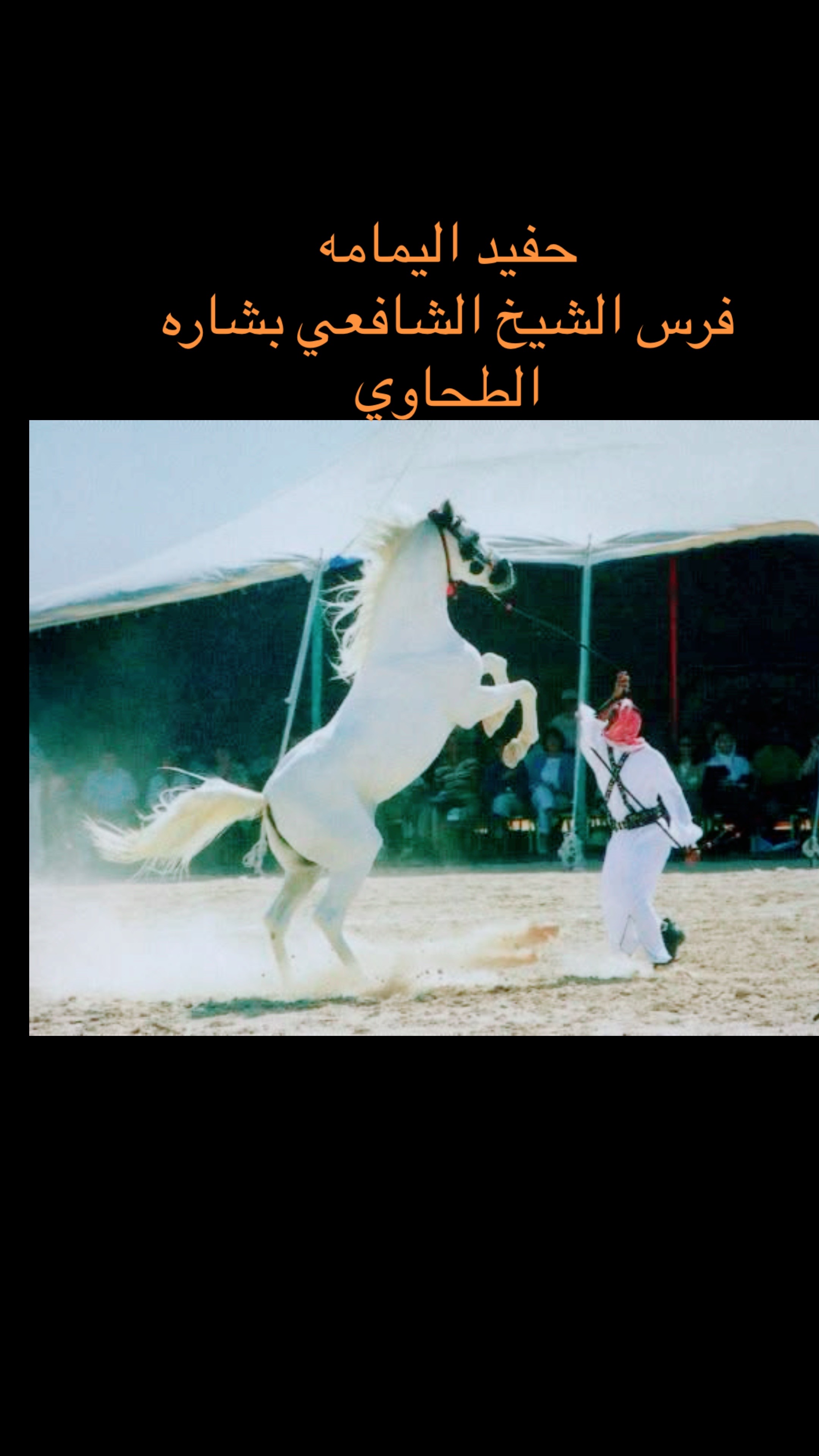 @Ibrahim Elshafie Elt